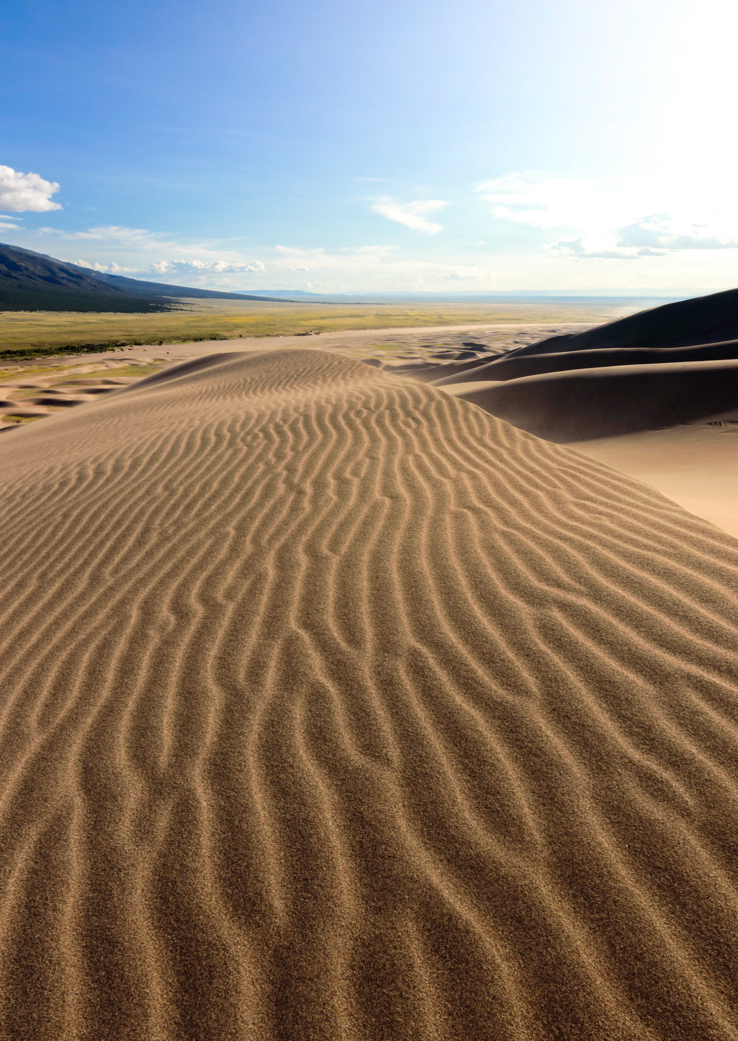 Patterns in the Sand