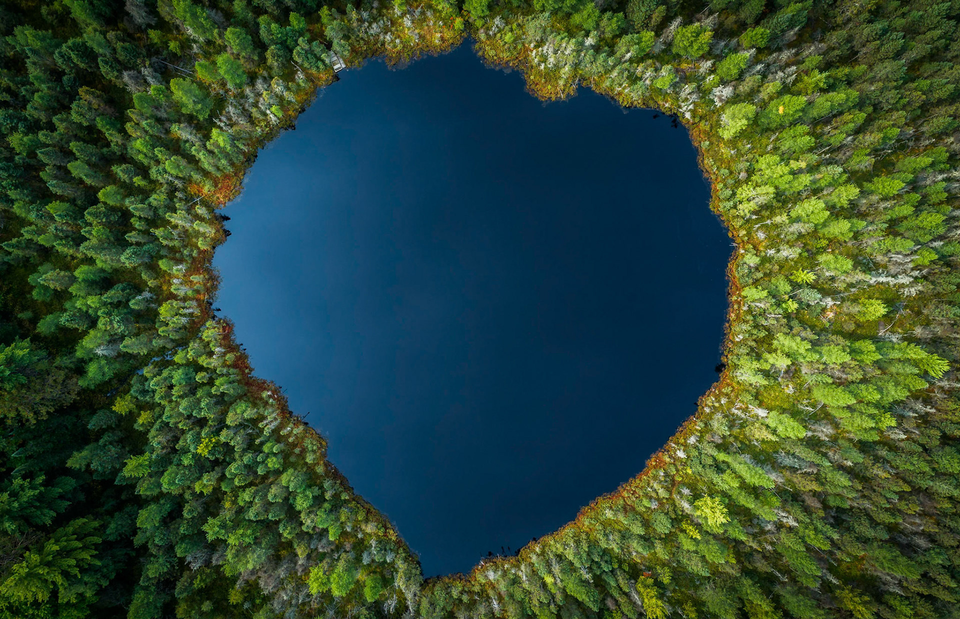 Heart of the Northwoods - Summer Edition