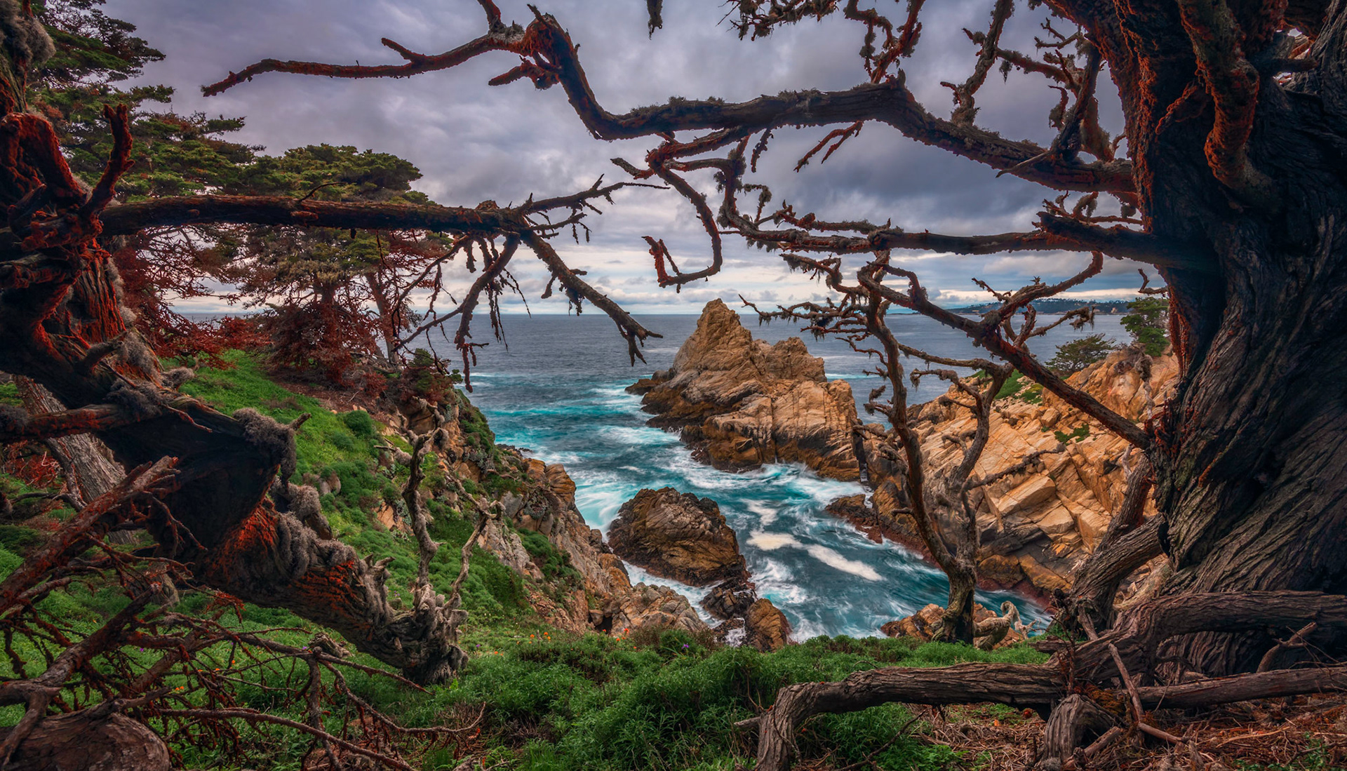 Point Lobos