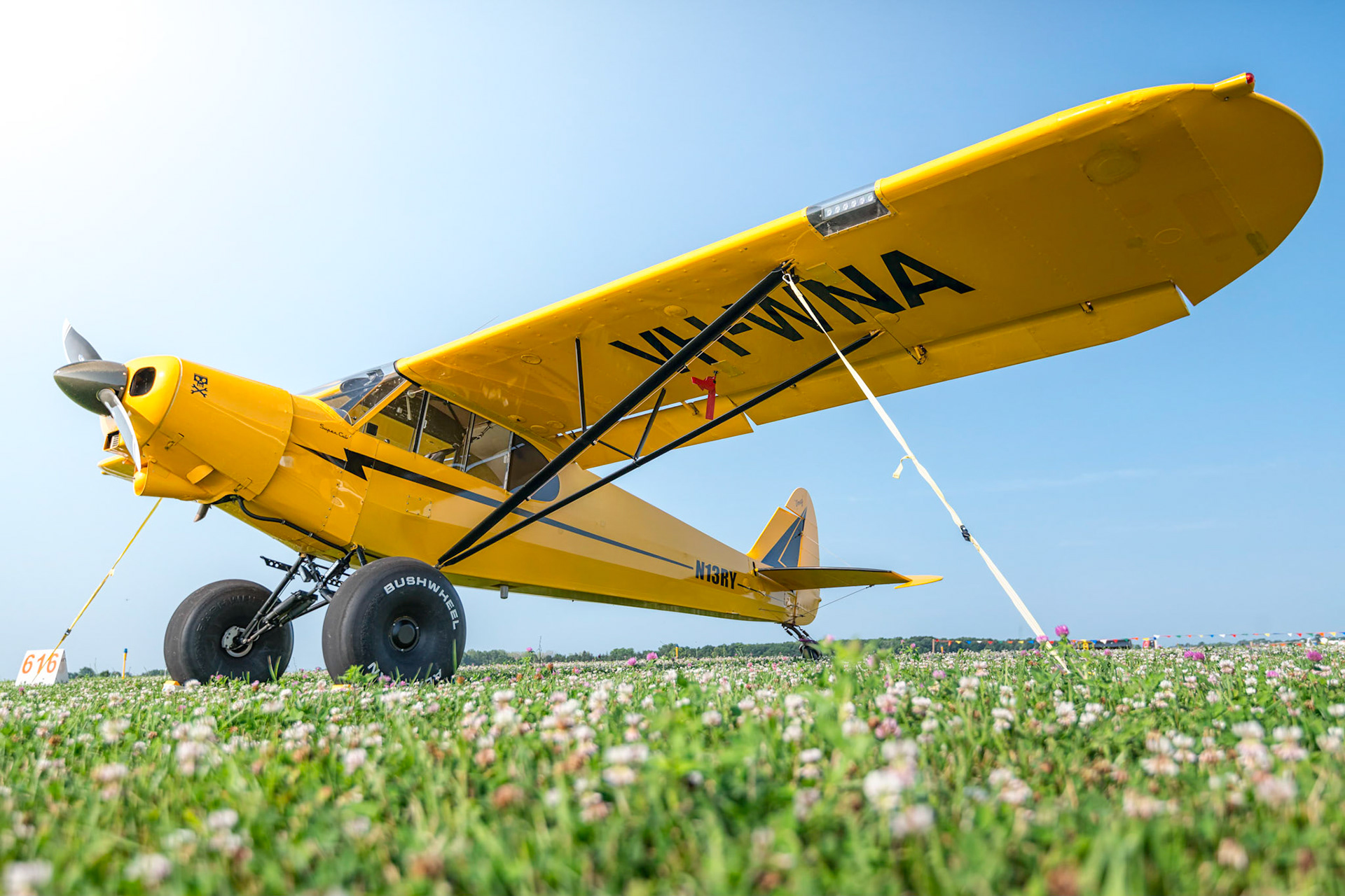 Piper Cub in the Sunshine