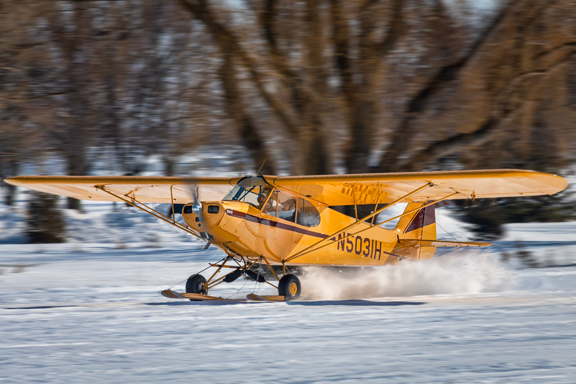 Piper PA-11 on Skis