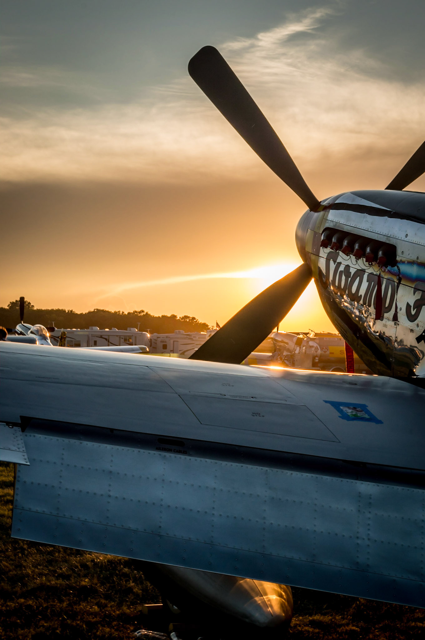 Mustang at Sunset