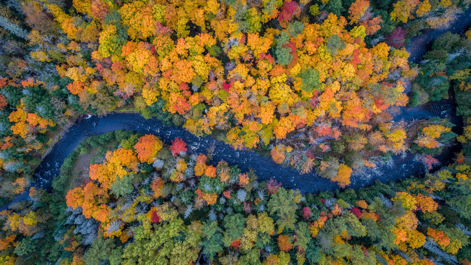 Colorful River Bends