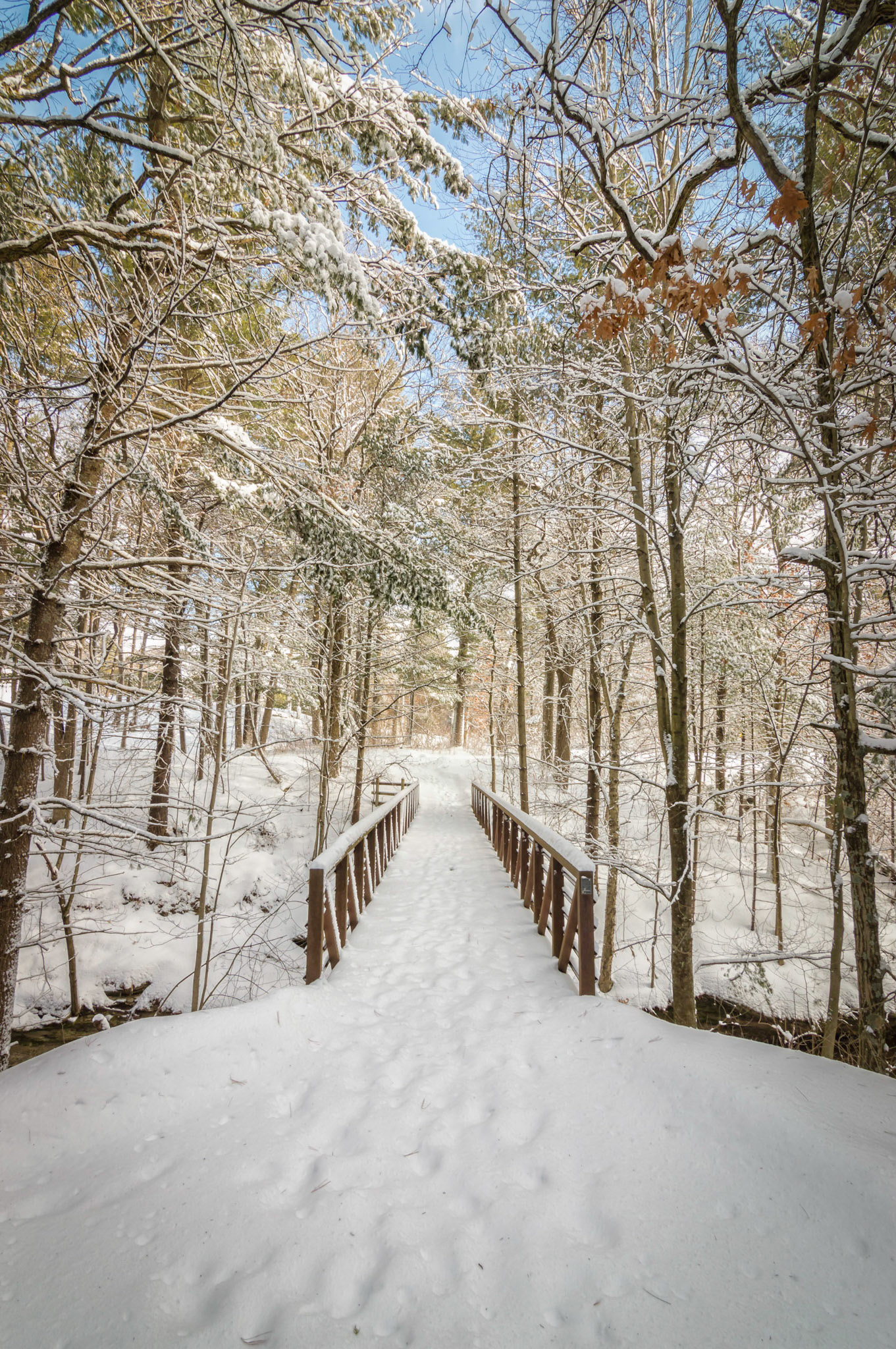 Footprints in the Snow
