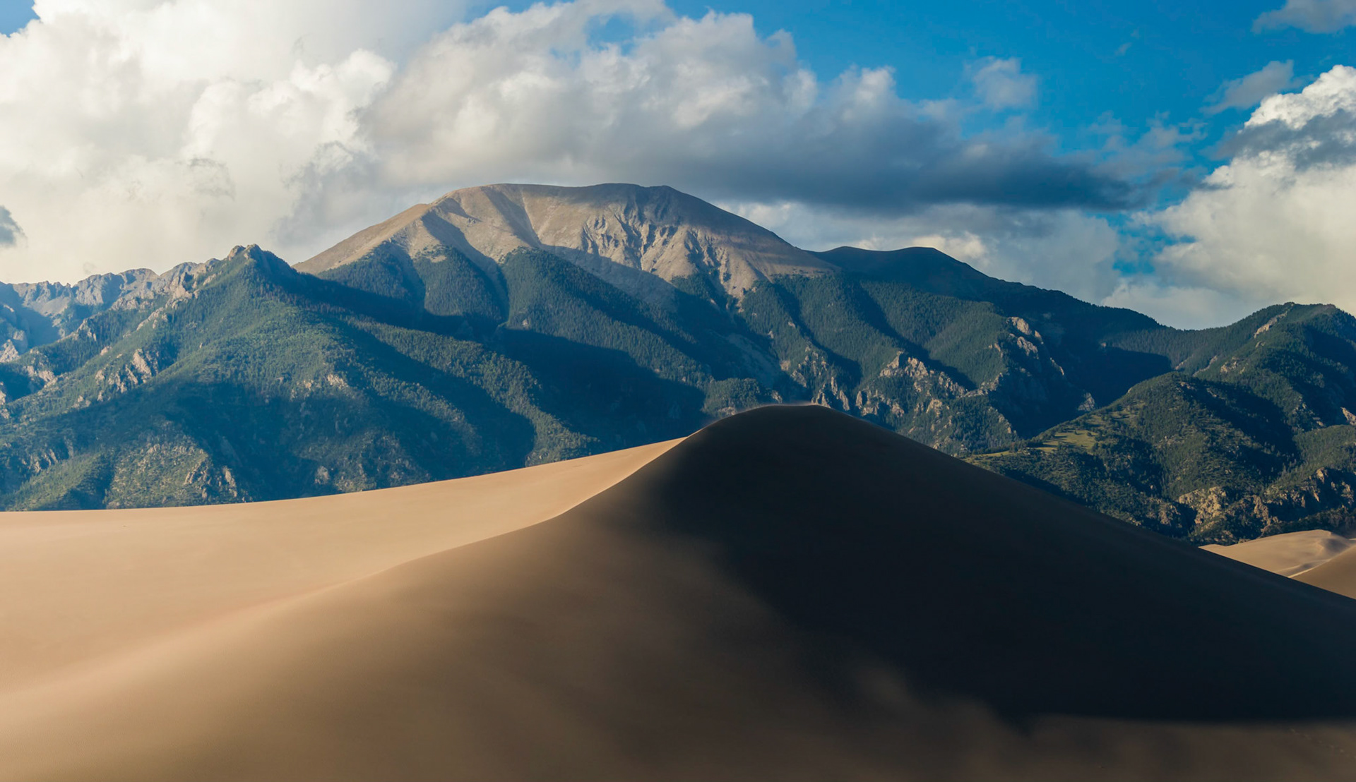 Evening in the Dunes