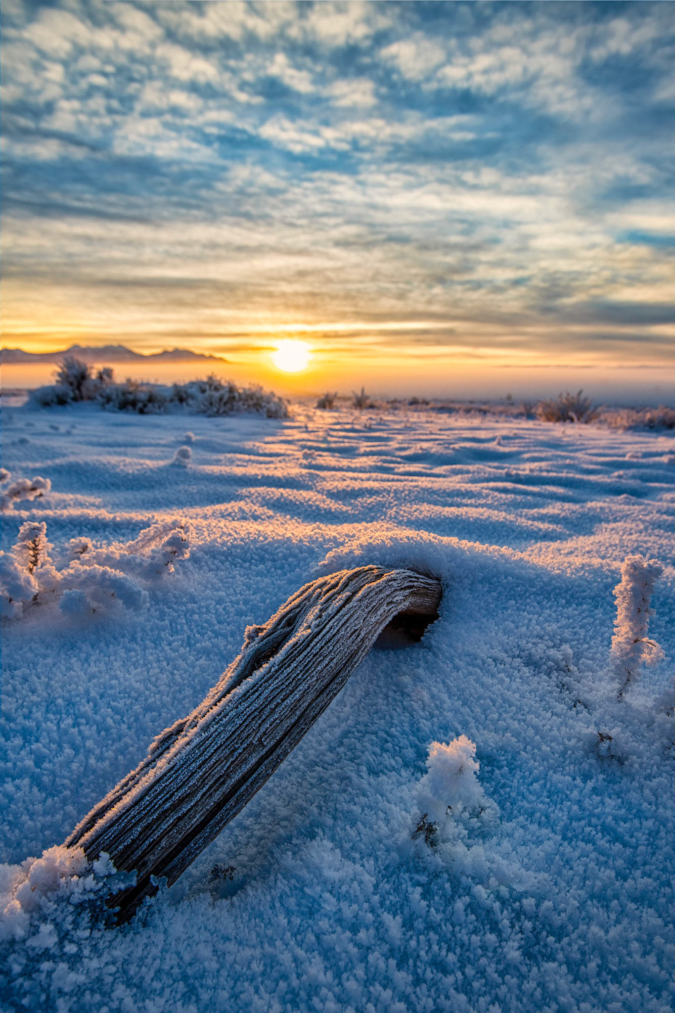 Frozen Sunrise
