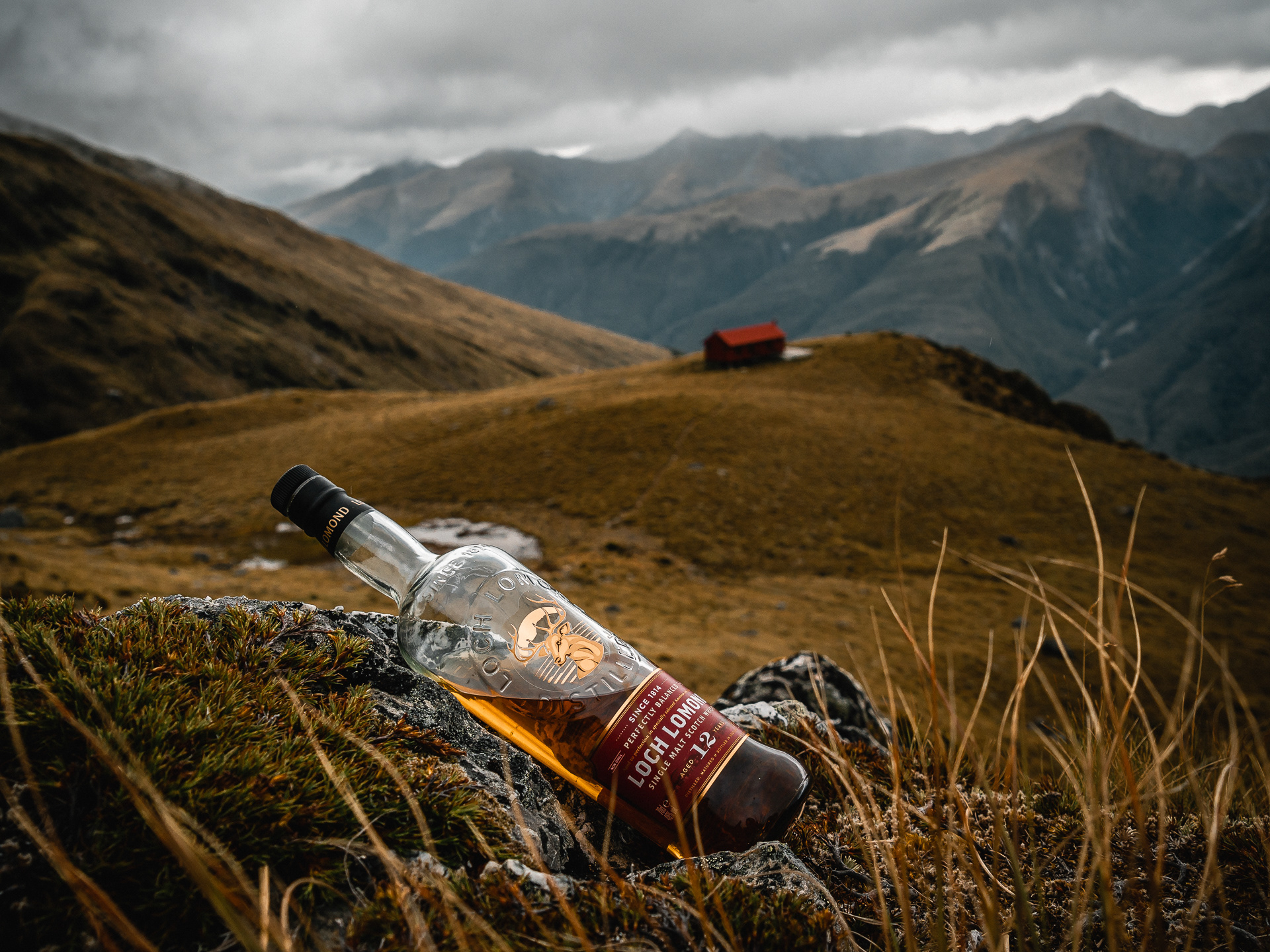 Client: Loch Lomond Distillery