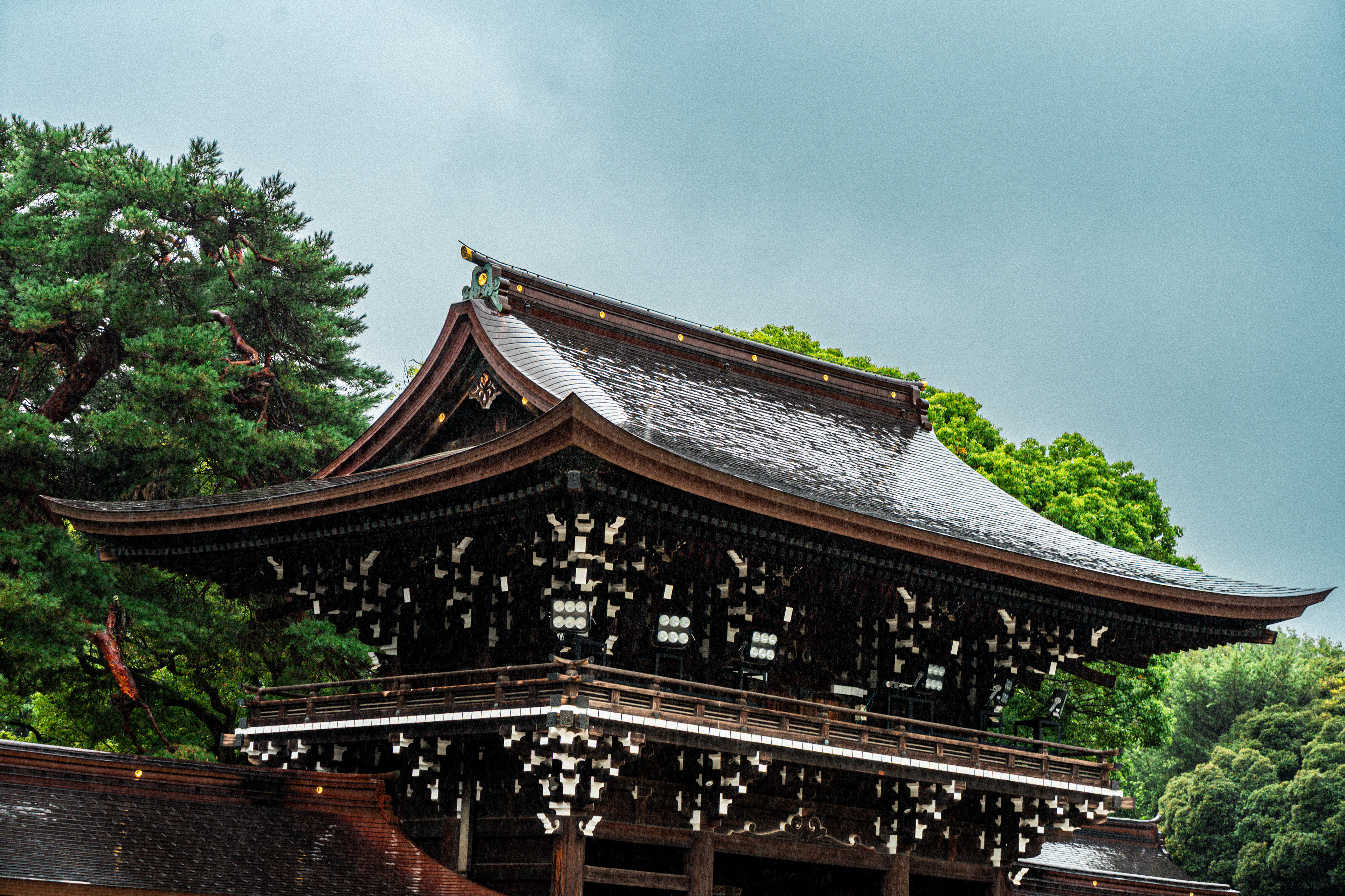 Meiji shrine 2 (2025)