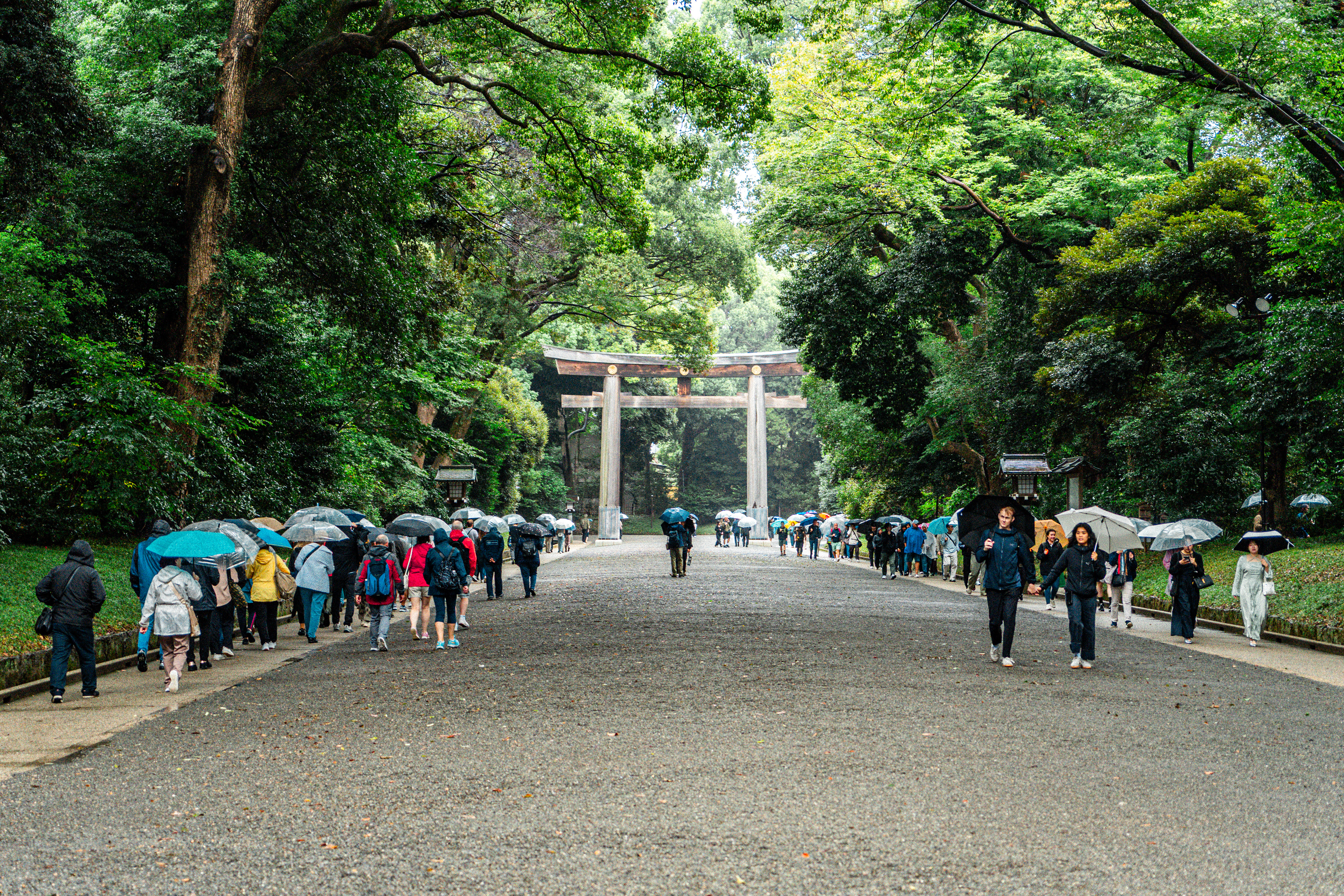 Meiji shrine 5 (2025)
