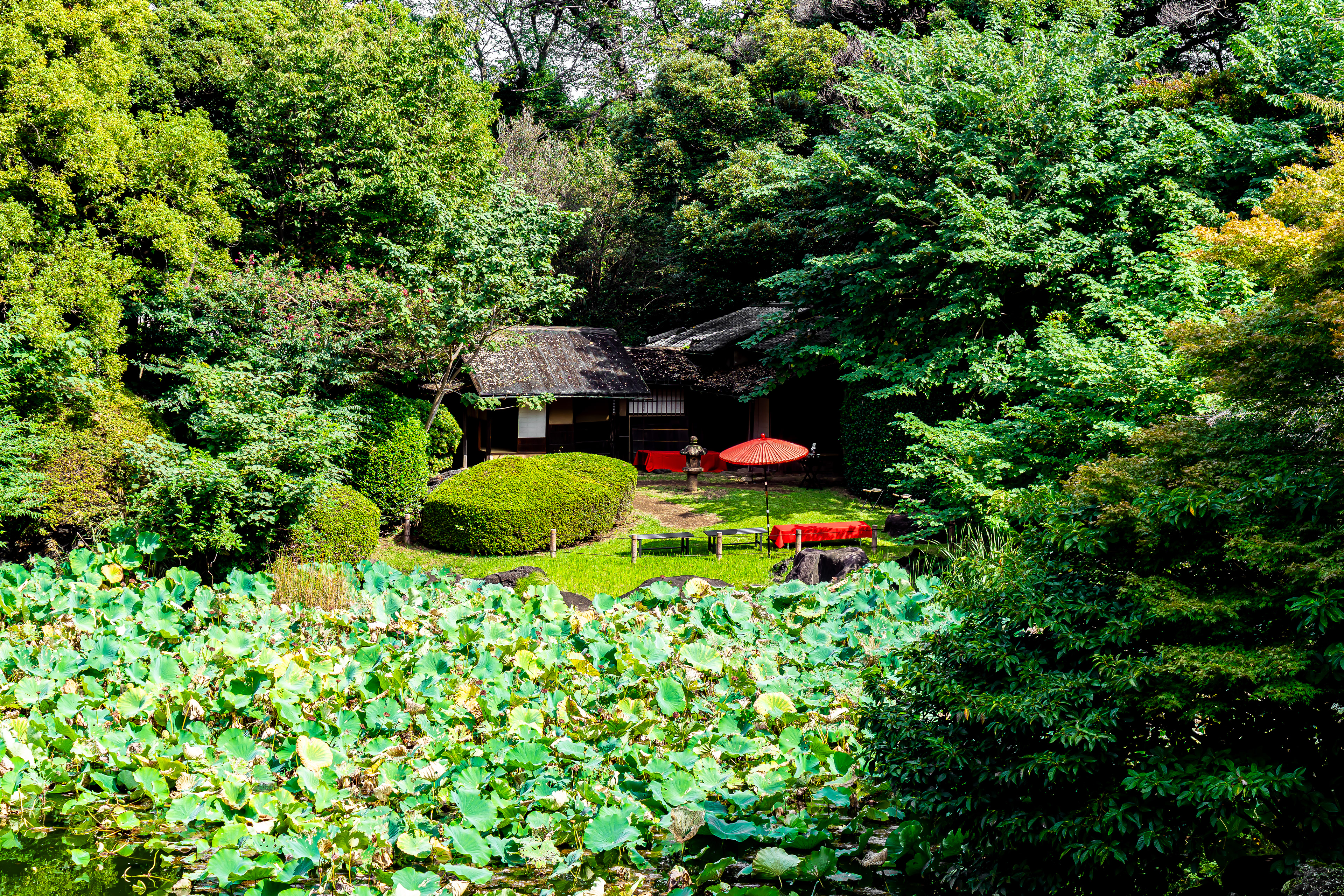 Tokyo National Museum 3 (2025)