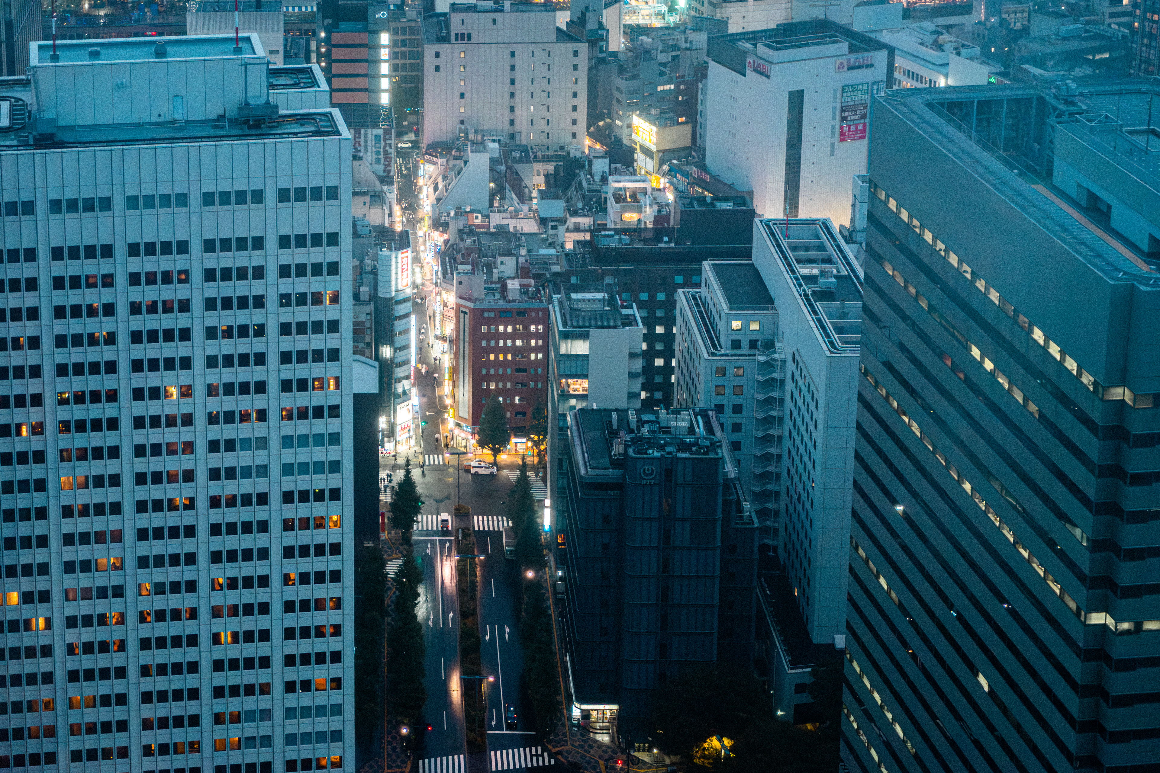 Tokyo Metropolitan Gvt. Building 4 (2025)