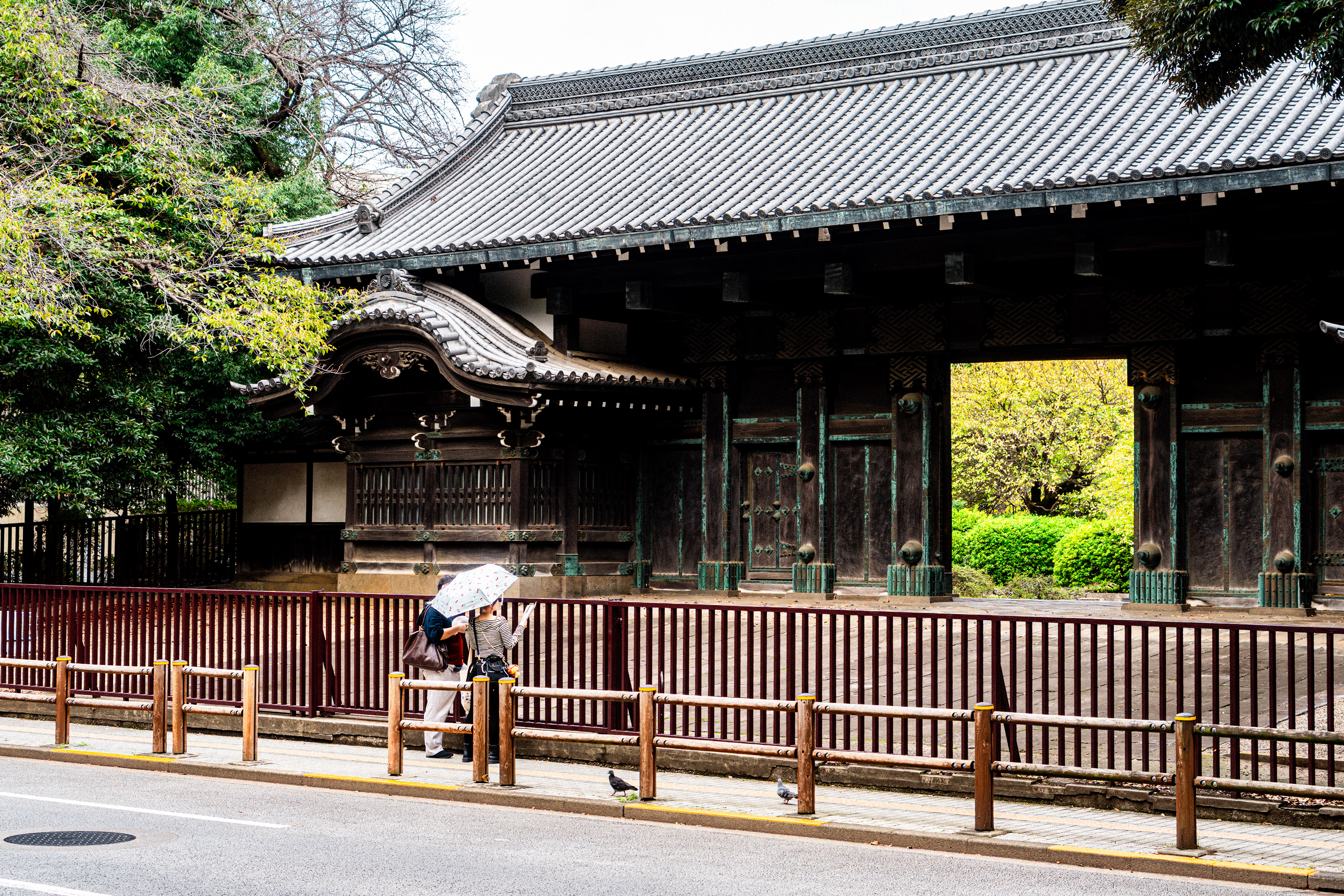 Tokyo National Museum 4 (2025)