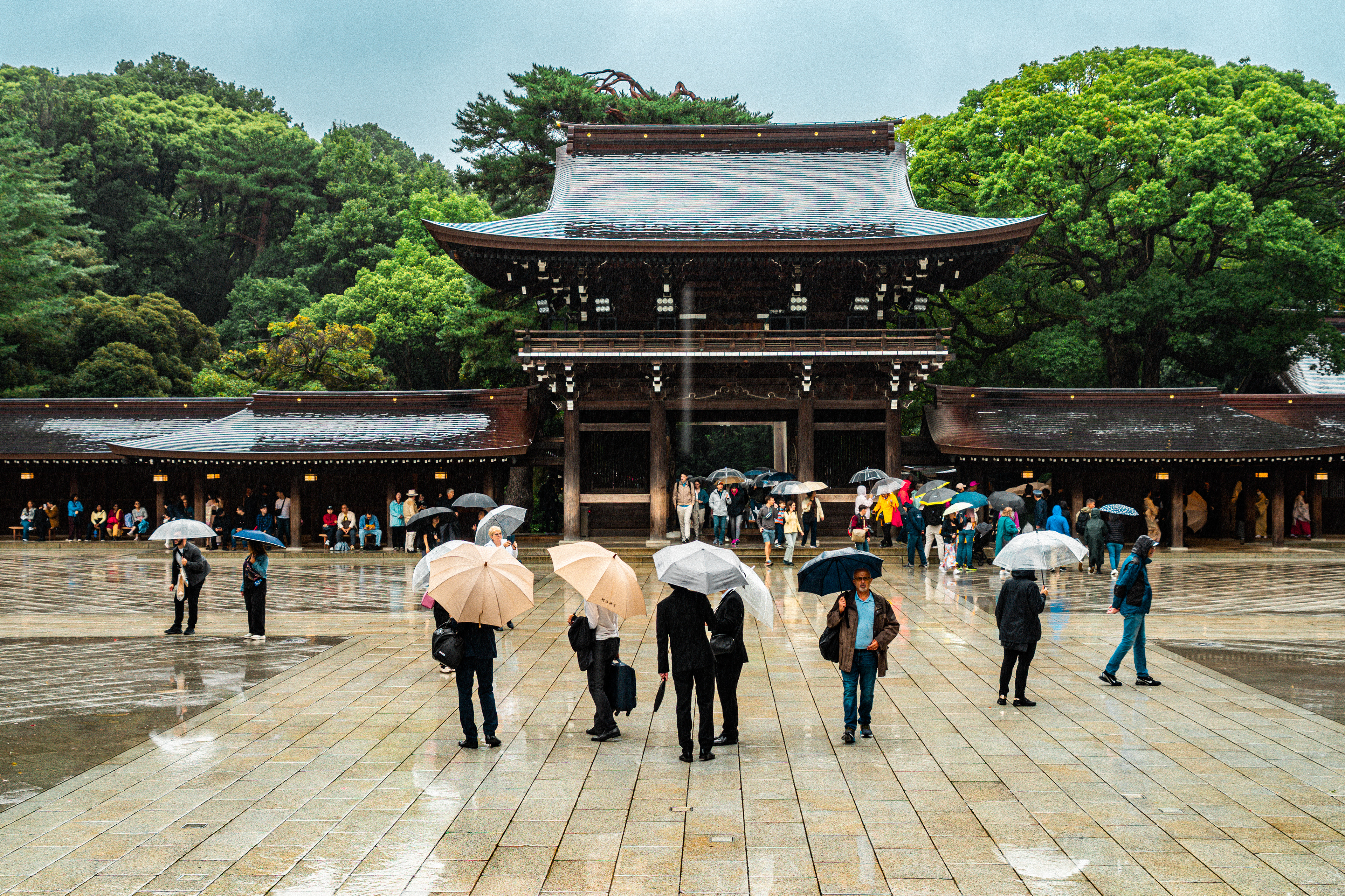 Meiji shrine 1 (2025)