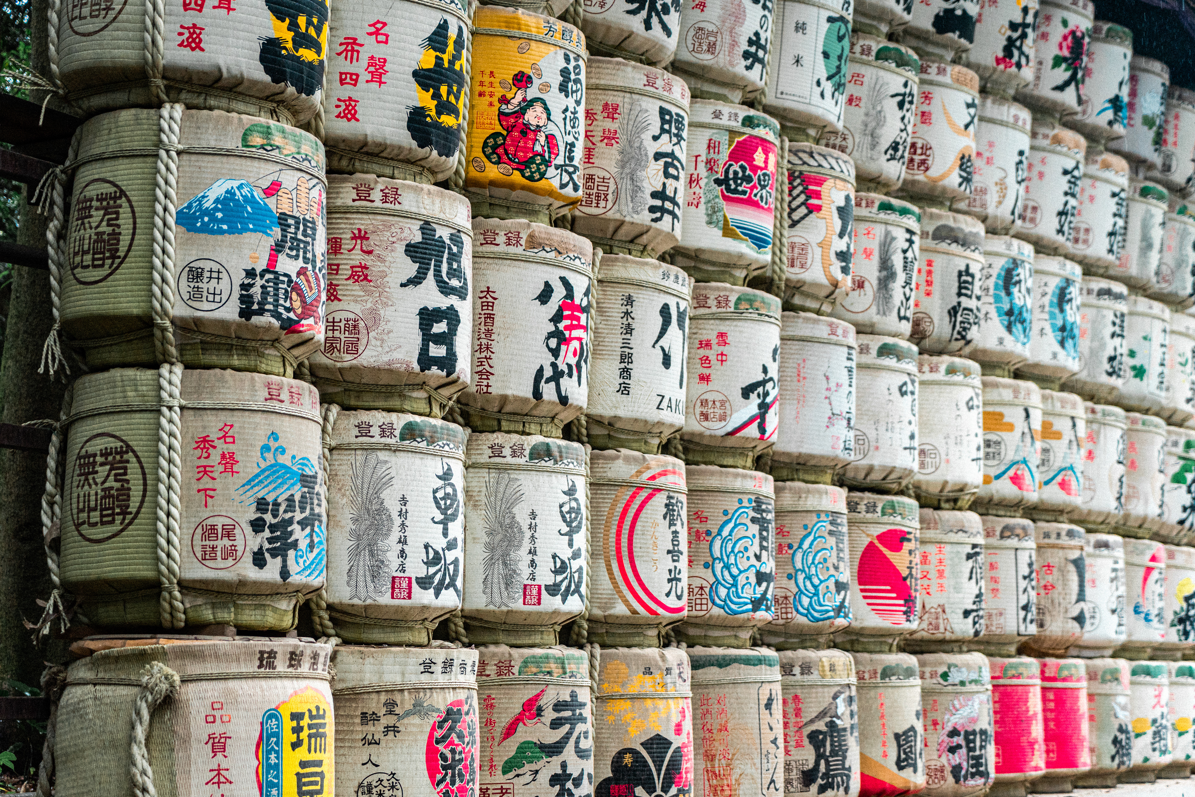 Meiji shrine 7 (2025)