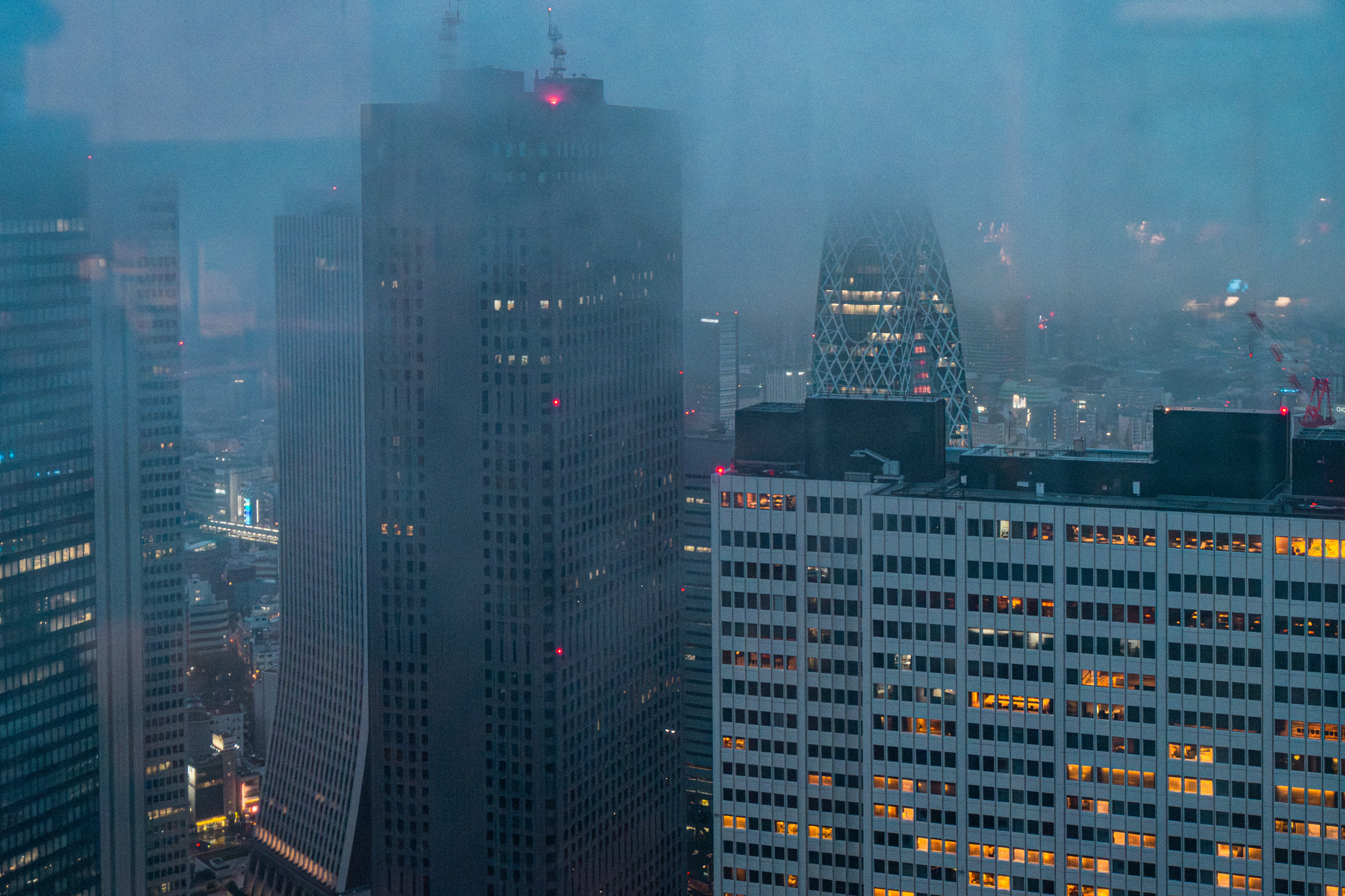 Tokyo Metropolitan Gvt. Building 2 (2025)