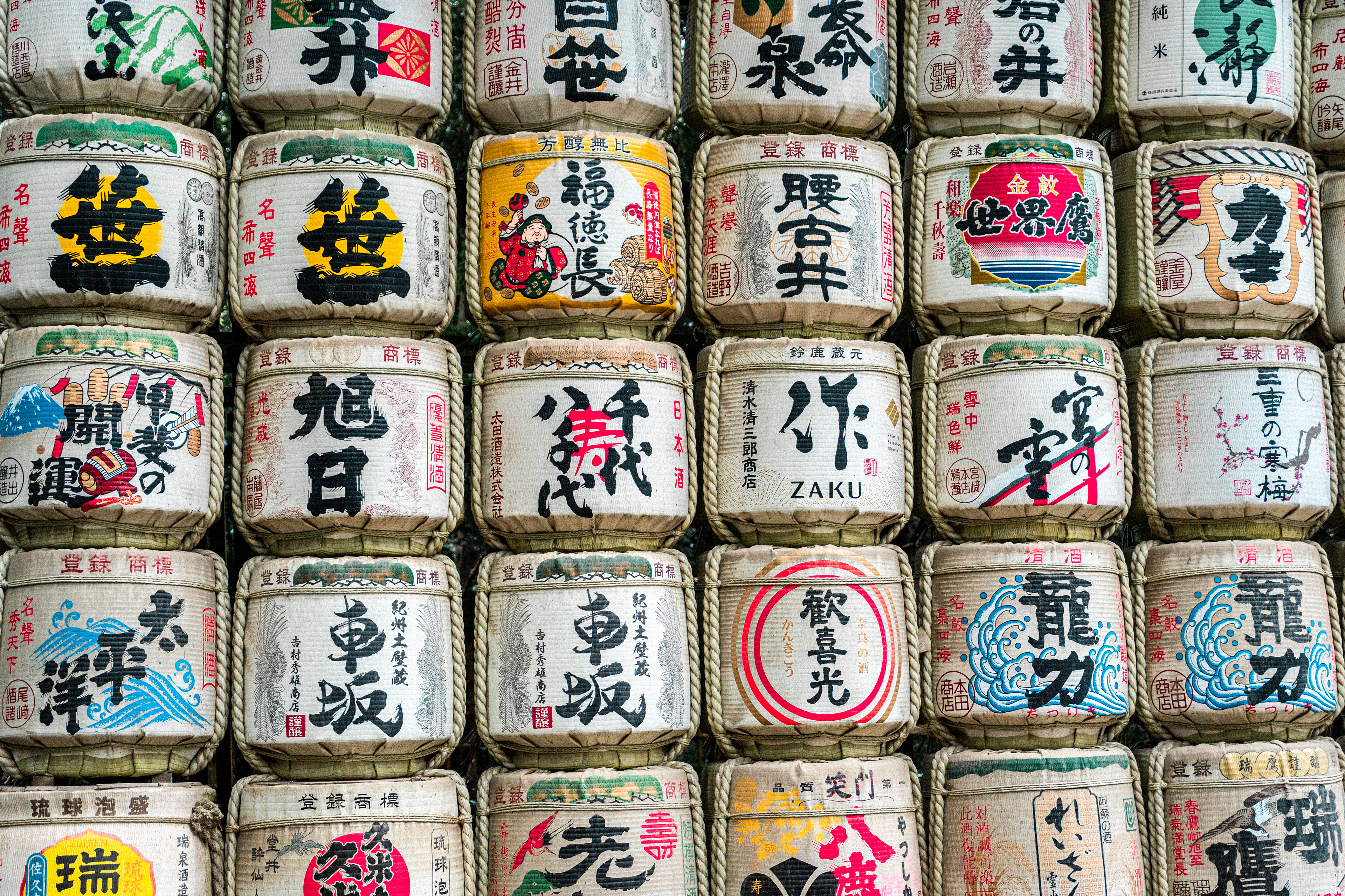 Meiji shrine 9 (2025)