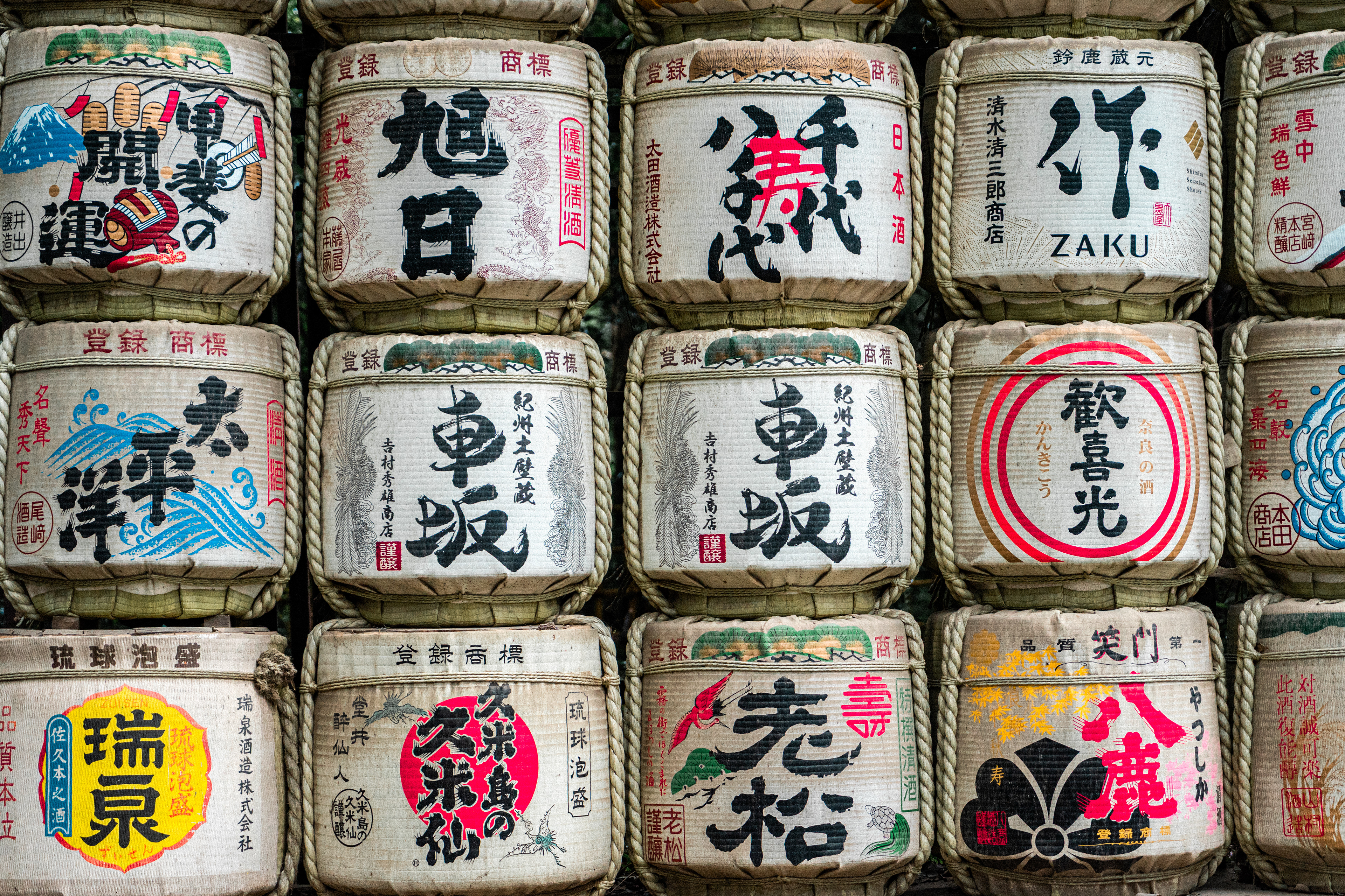 Meiji shrine 8 (2025)