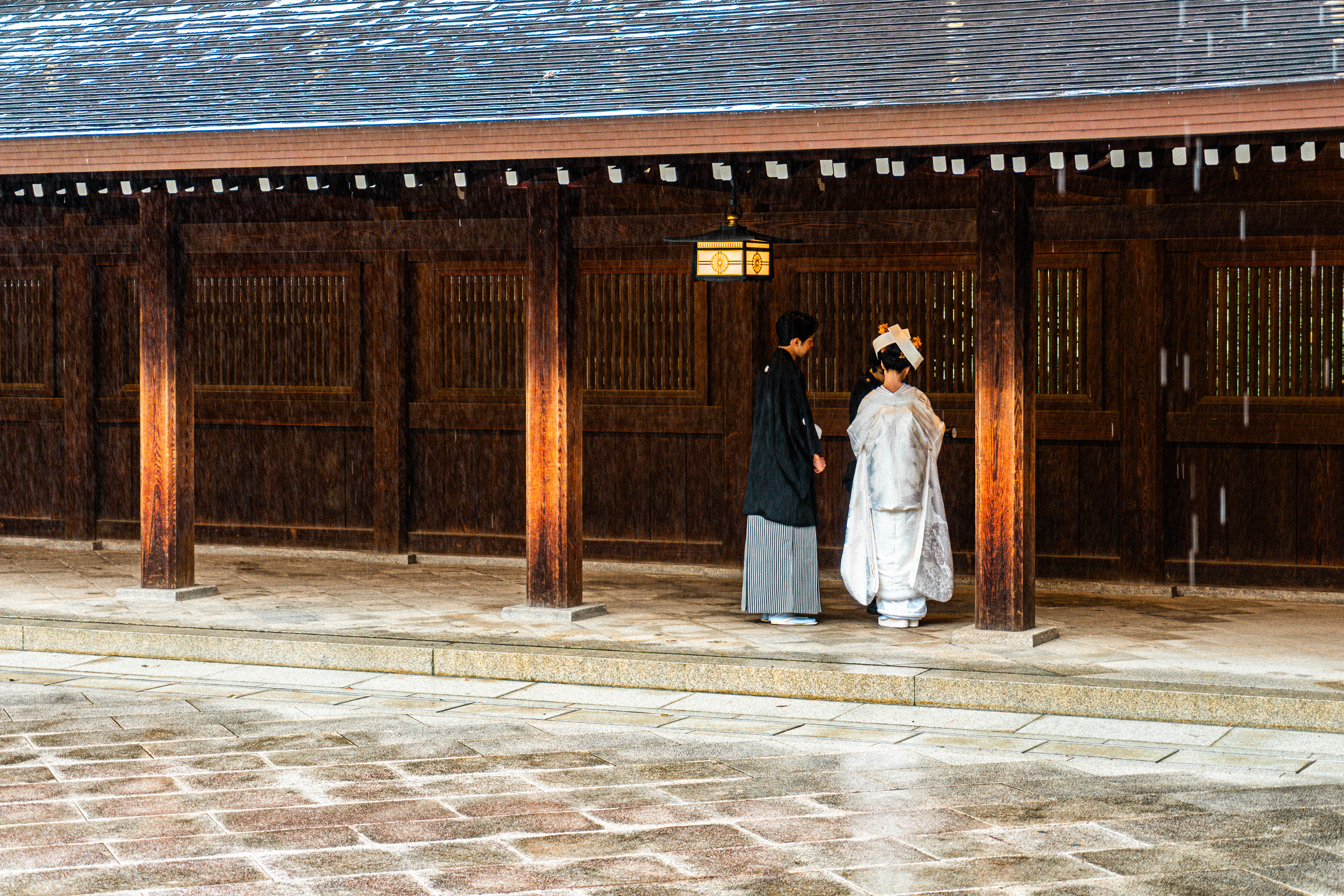 Meiji shrine 3 (2025)