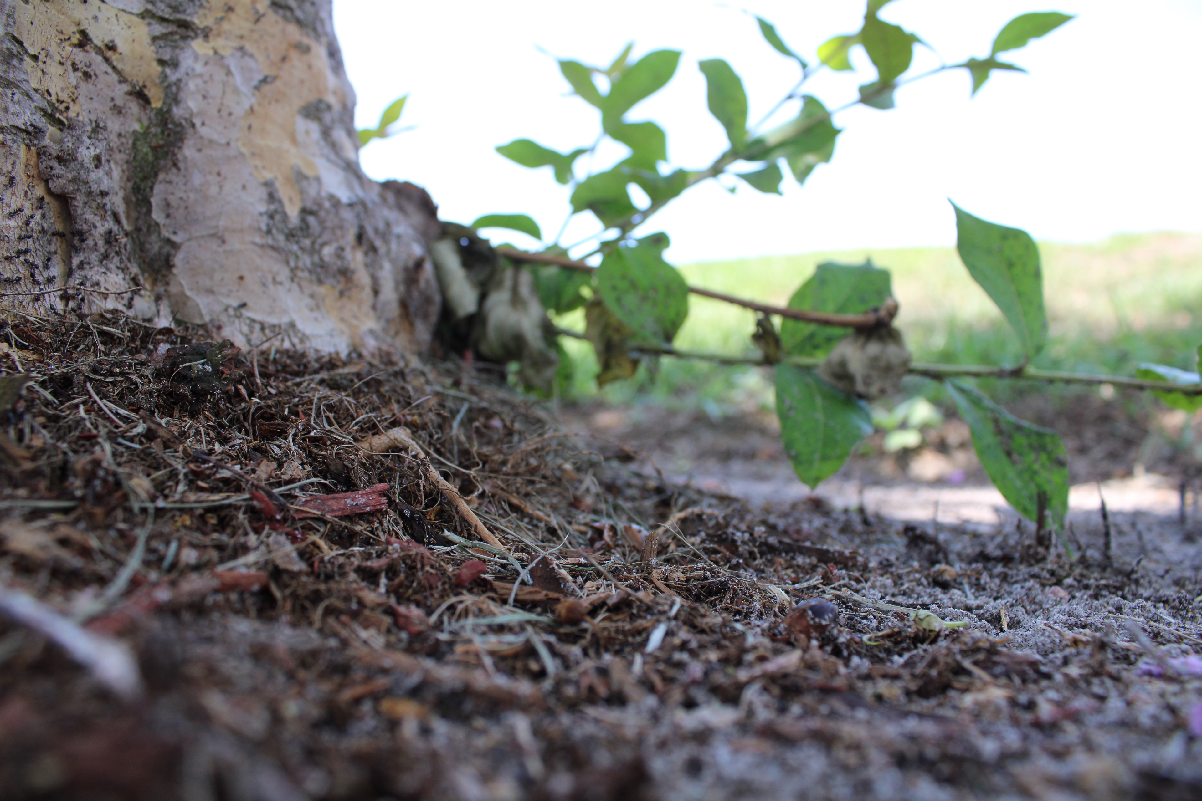 the little things (1/8)