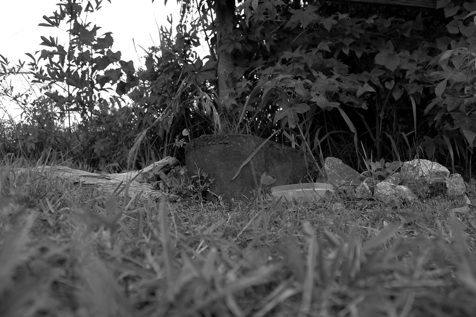 Black & White Forms (4/10)