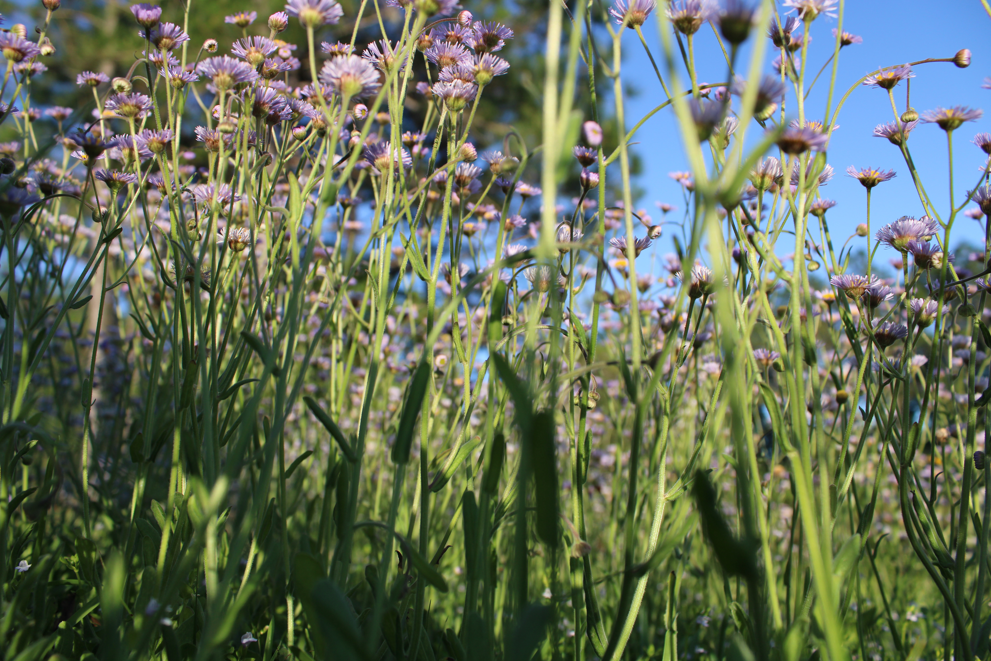 the little things (7/8)