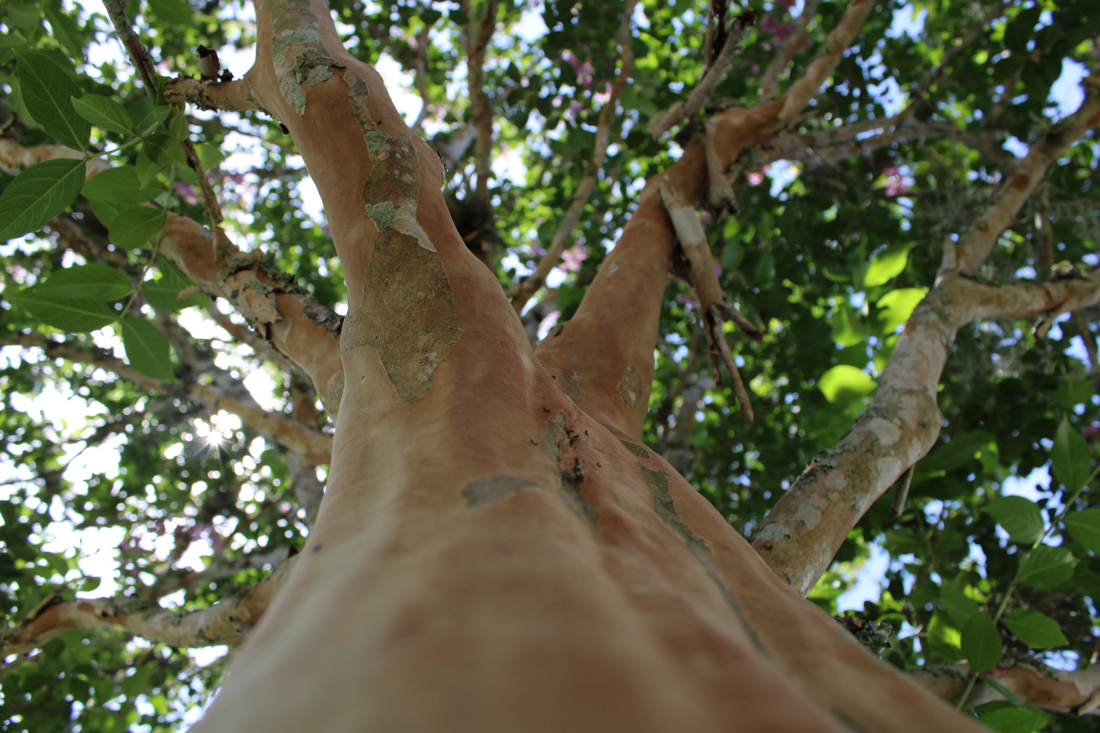 the little things (3/8)