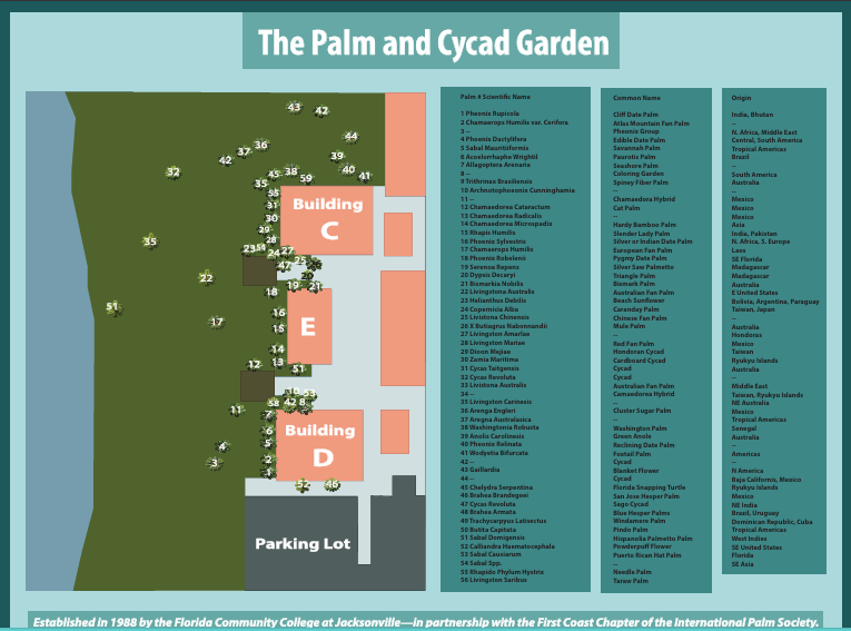 Infographic - The Palm & Cycad Garden Sign (2/2)