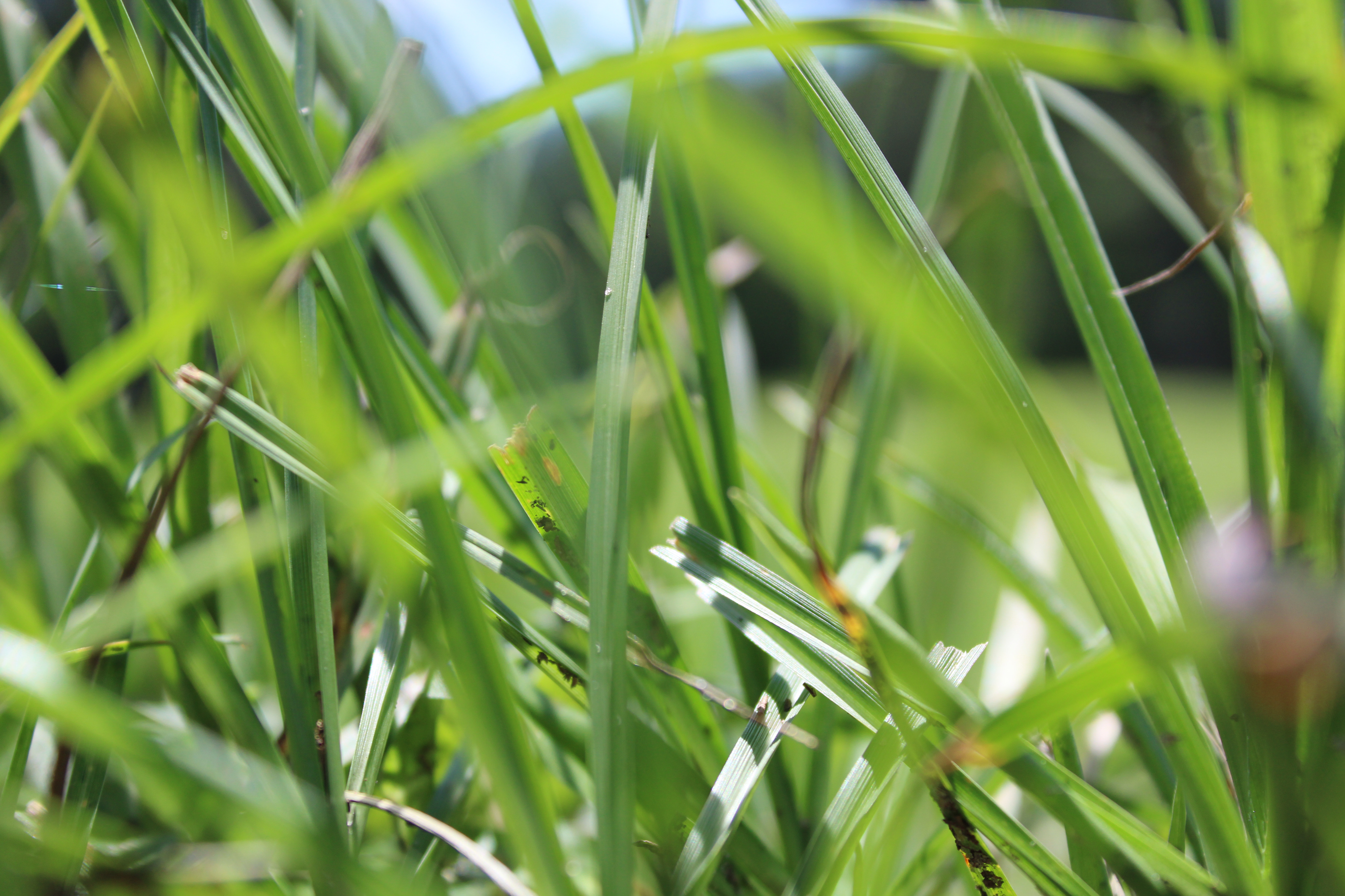 the little things (4/8)