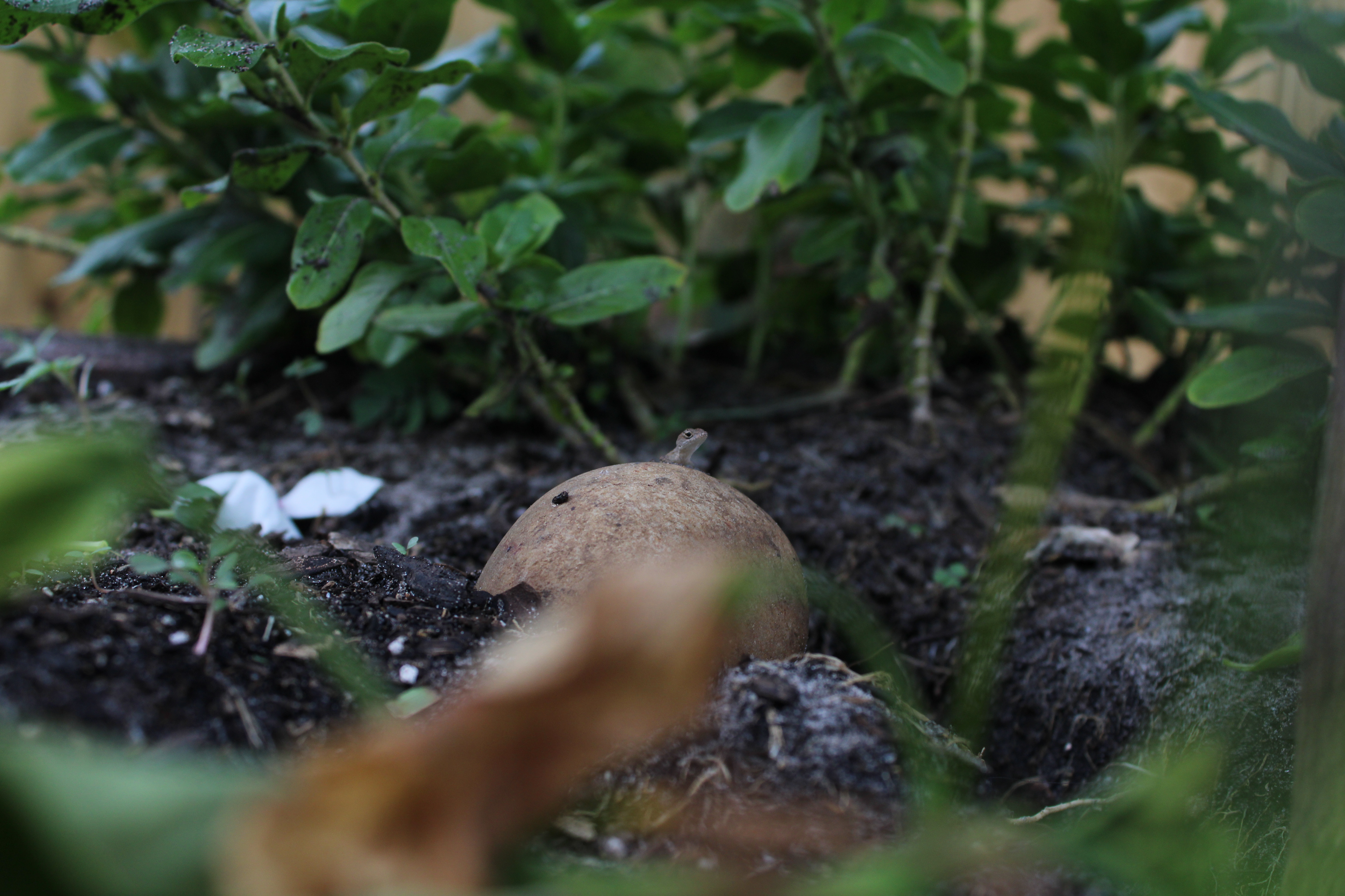 the little things (6/8)