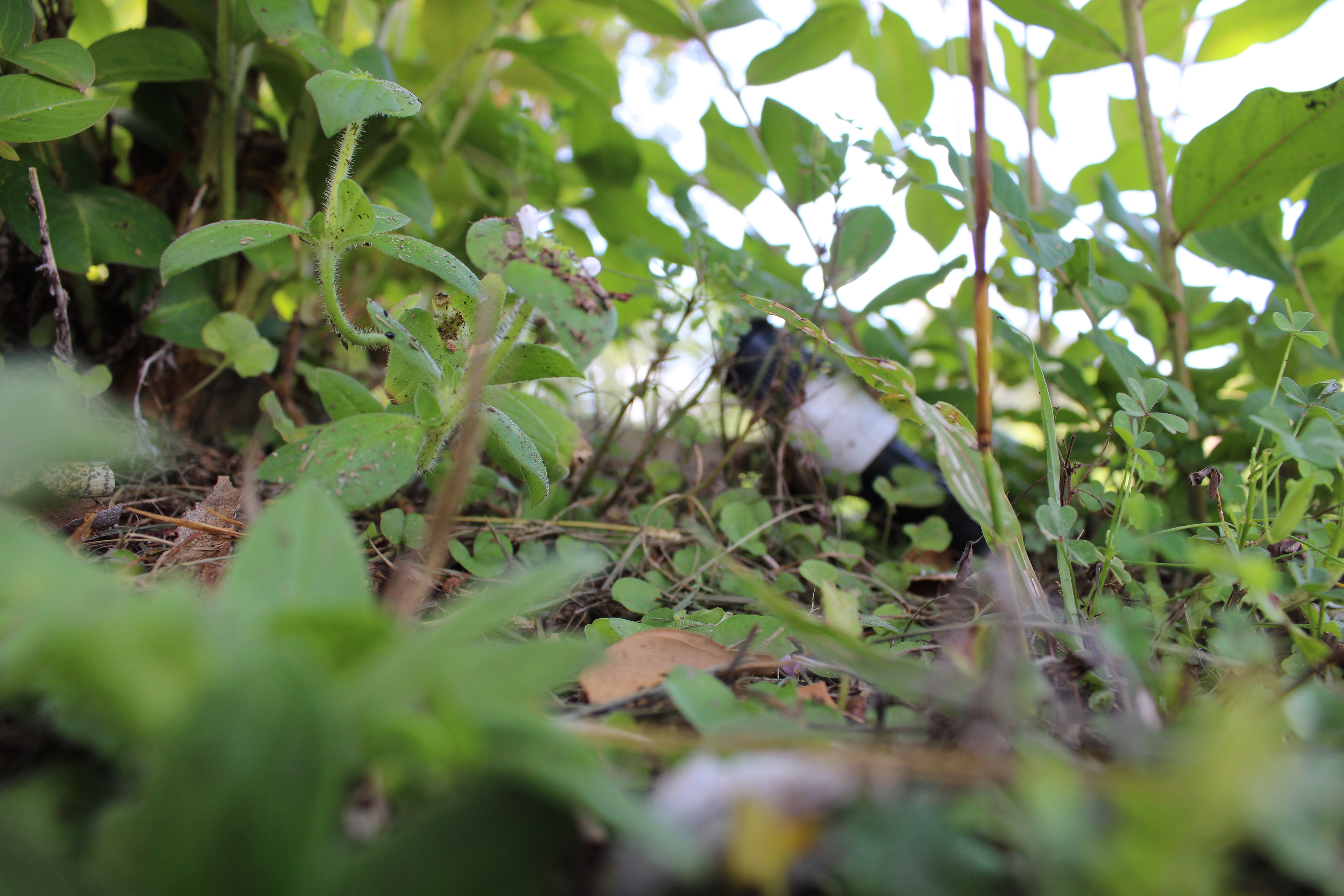 the little things (2/8)