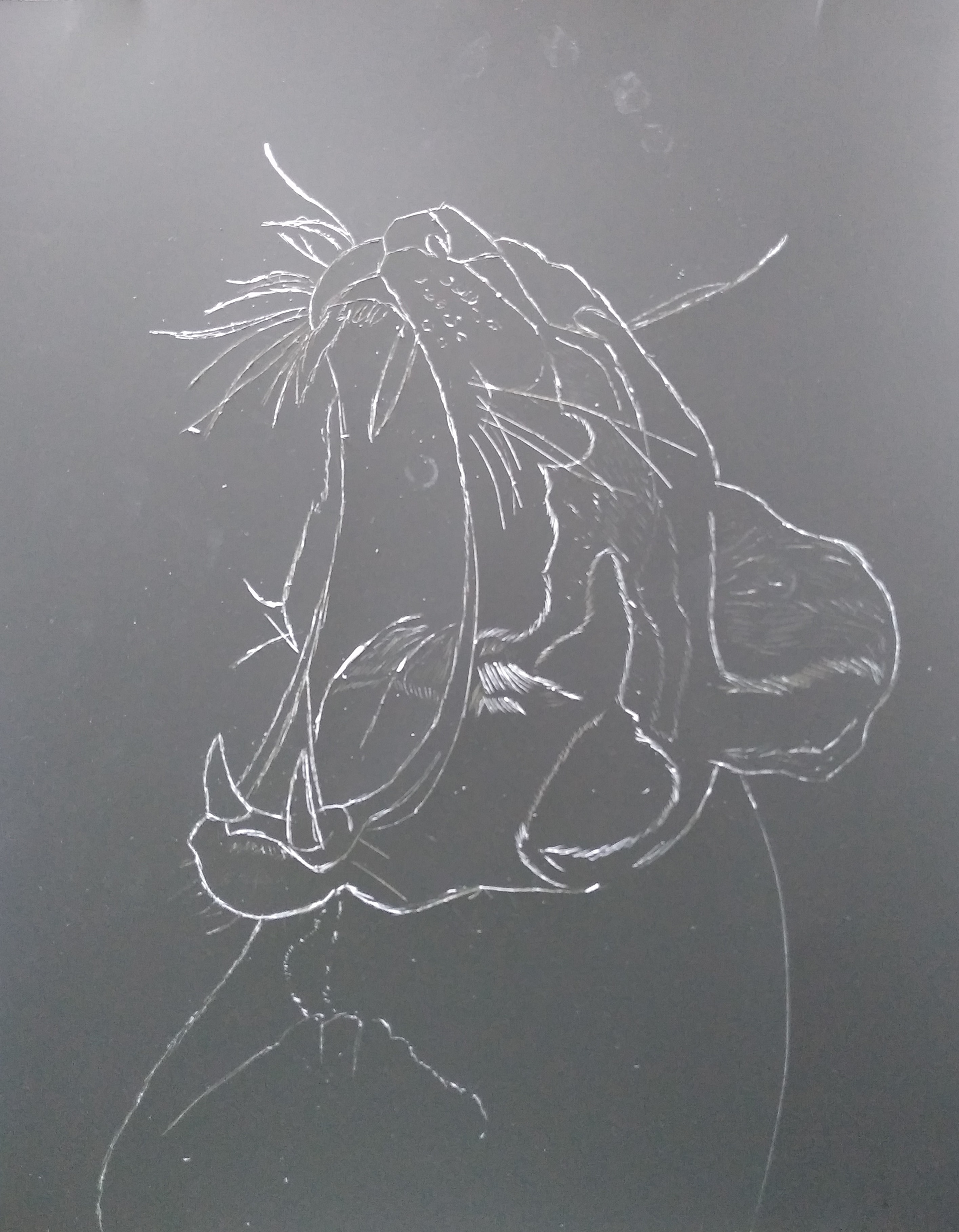 ART1301C - Scratch Drawing of Tiger Cub