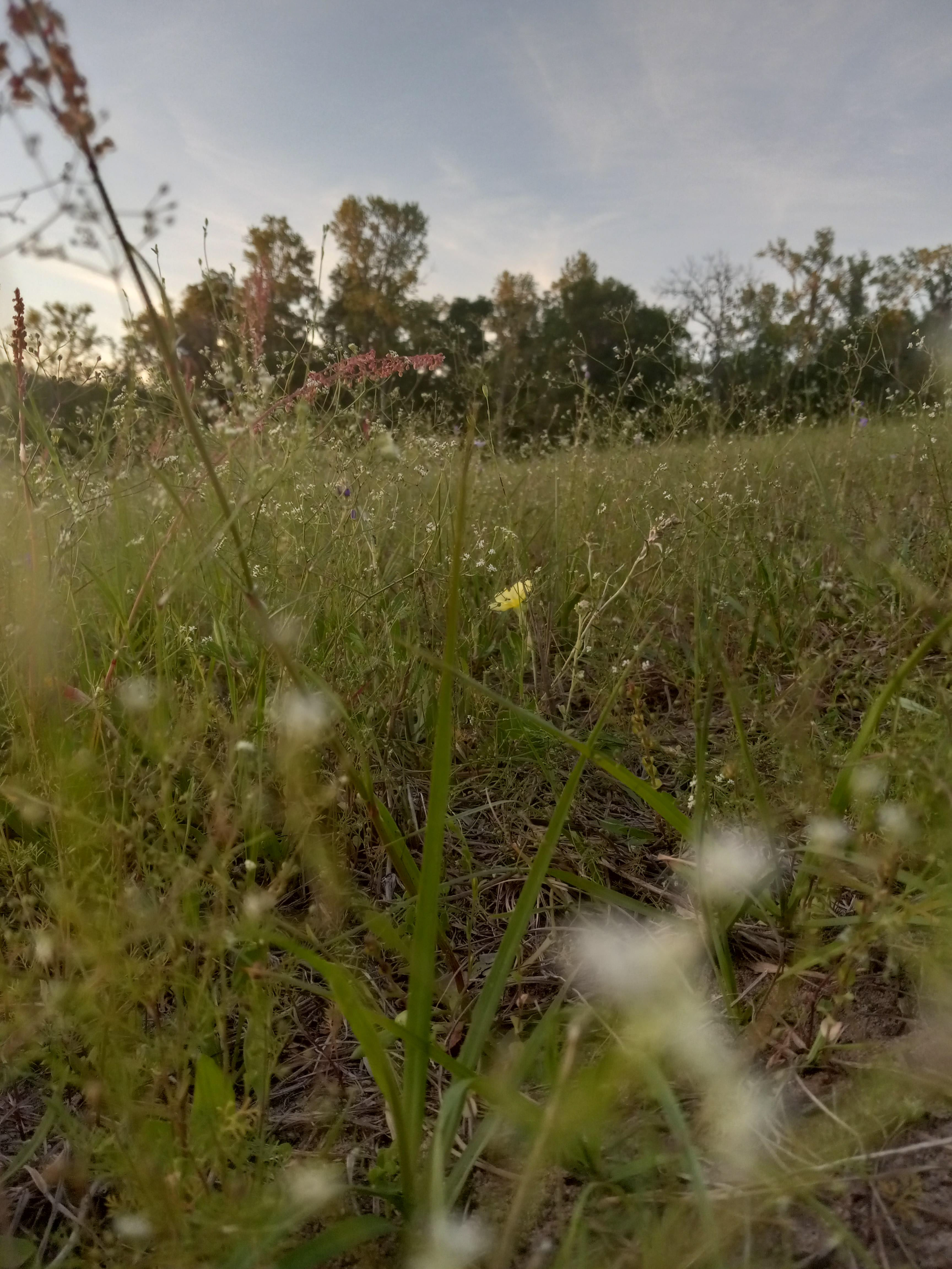 the little things (8/8)