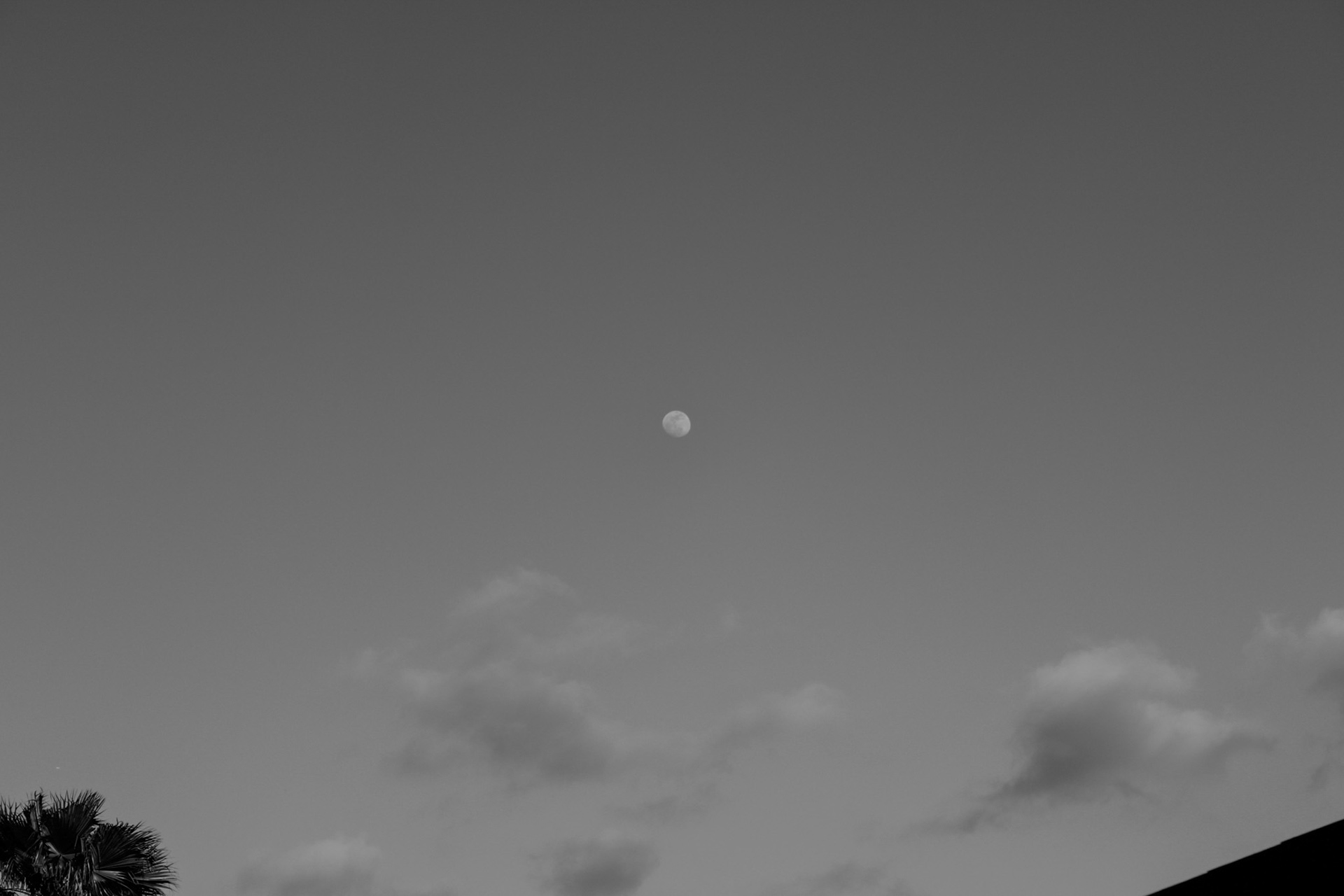 Black & White Forms (2/10)