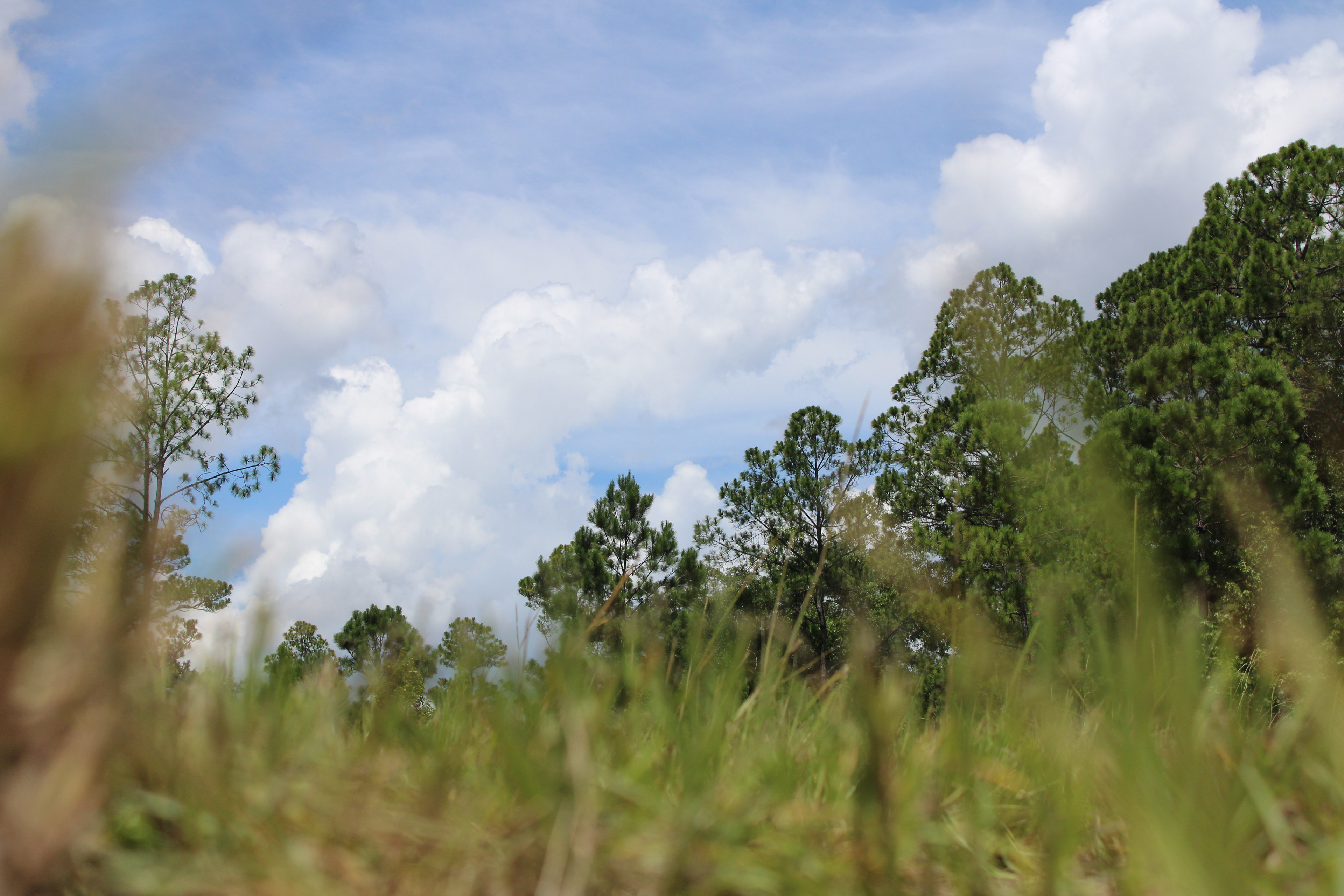 the little things (5/8)