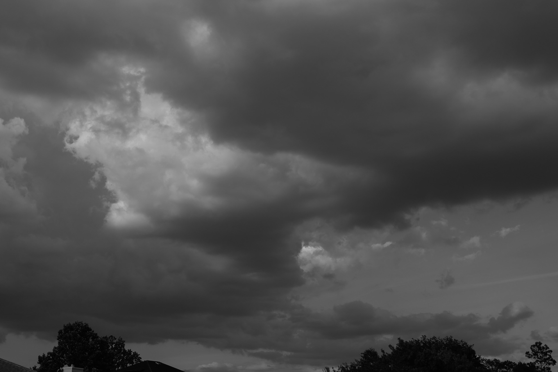 Black & White Forms (3/10)