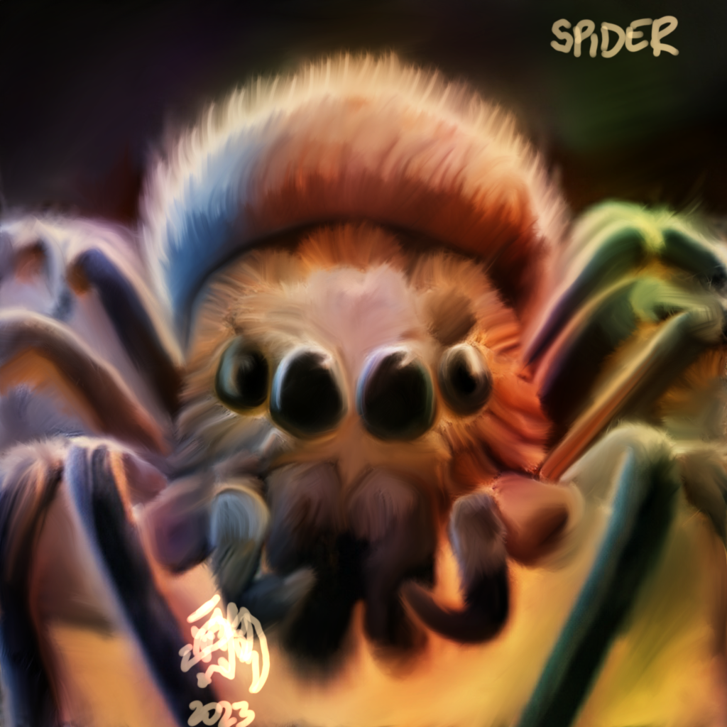 Spider