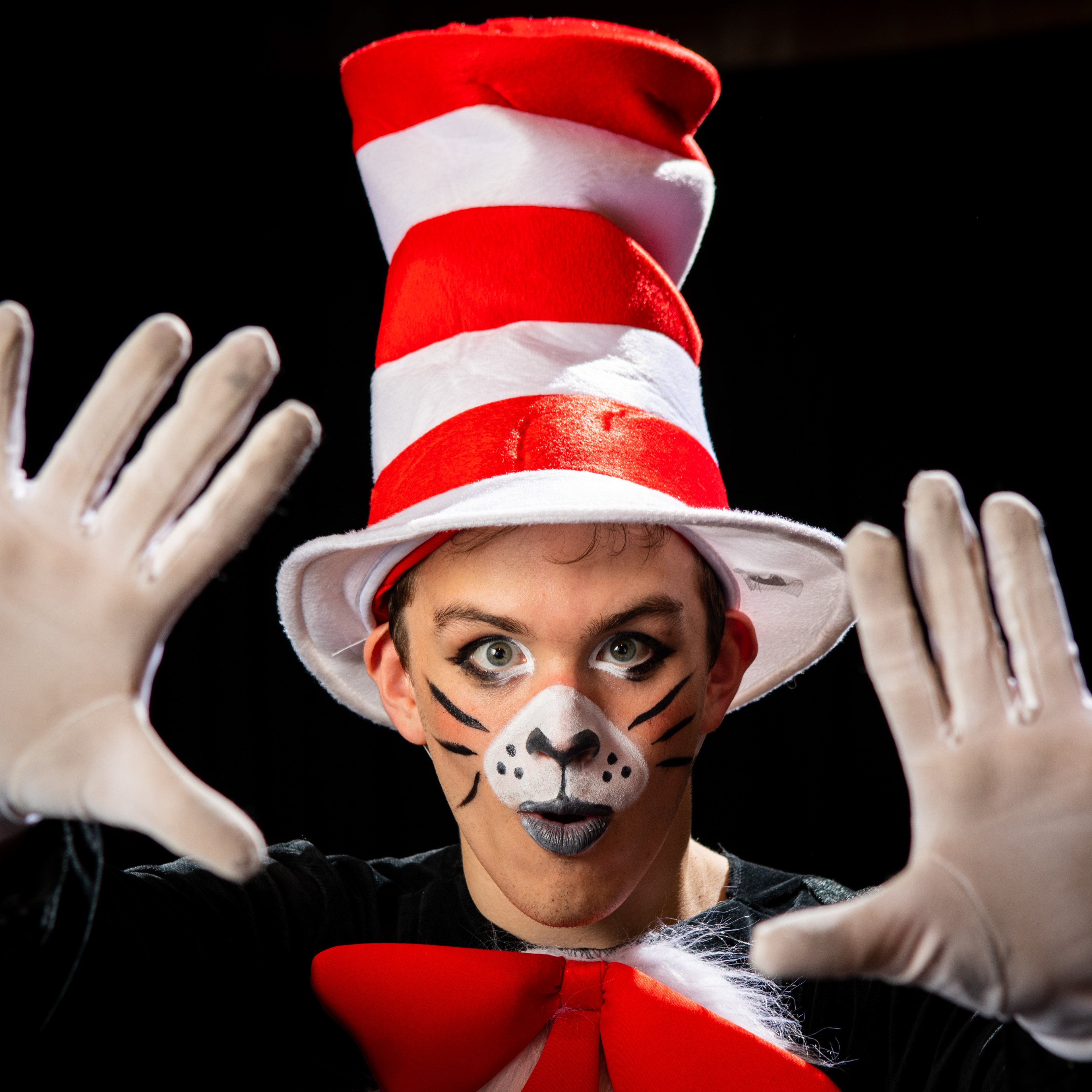 The Cat in the Hat
