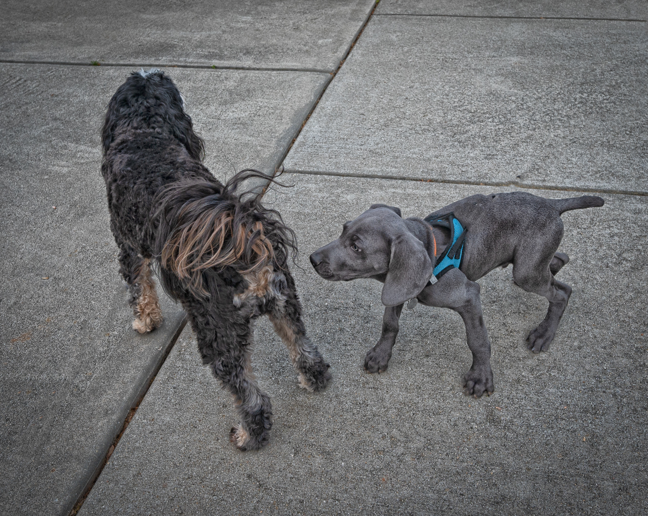 Elway says: "Let Me Get to Know you, Oliver"!