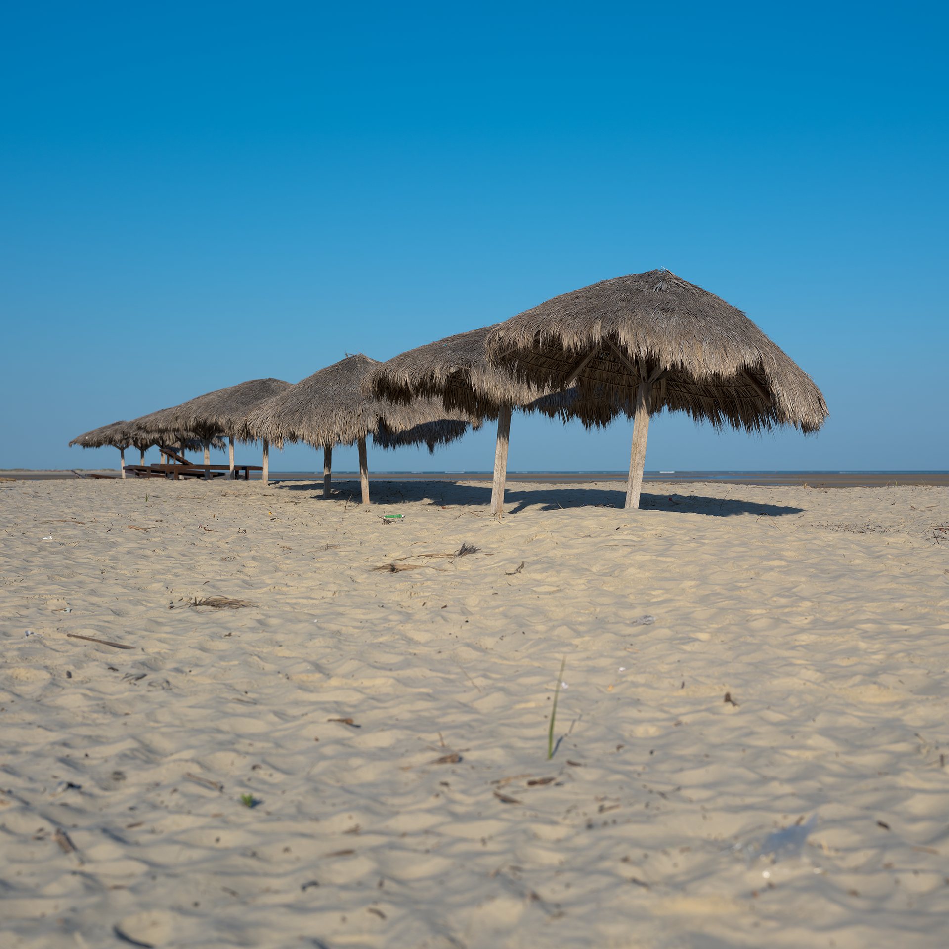Ndao ho eny amin'ny torapasika Morondava Laoma.Photography 老马