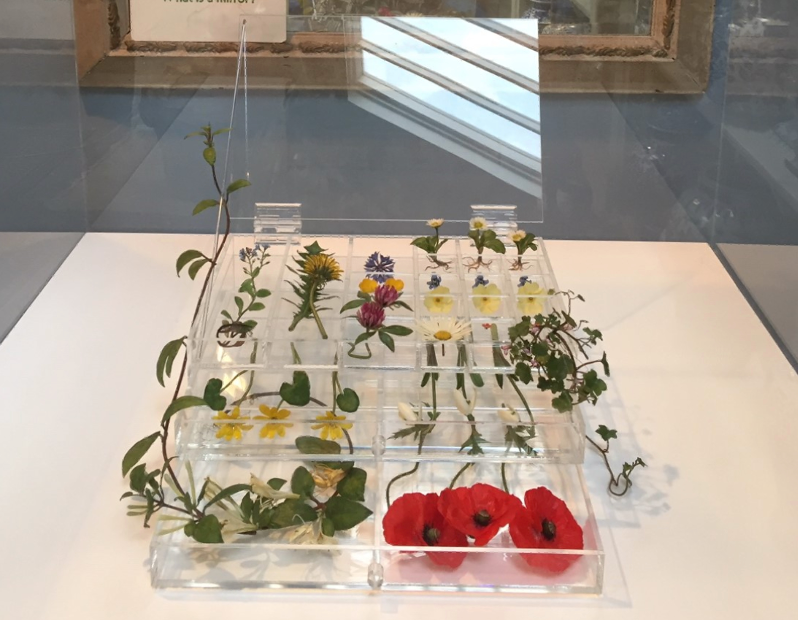 Fig. 2 - 'Treasure' by Annette Marie Townsend