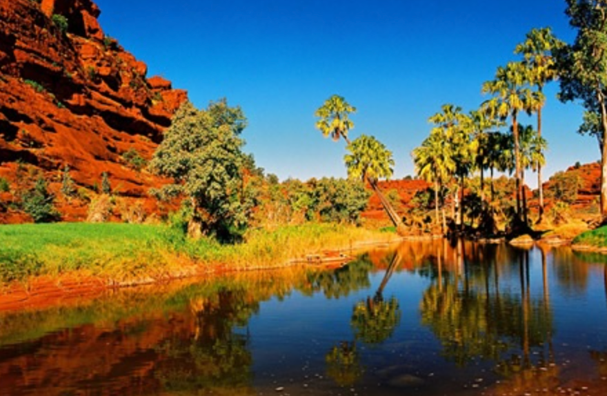 Fig. 2 - Palm Valley