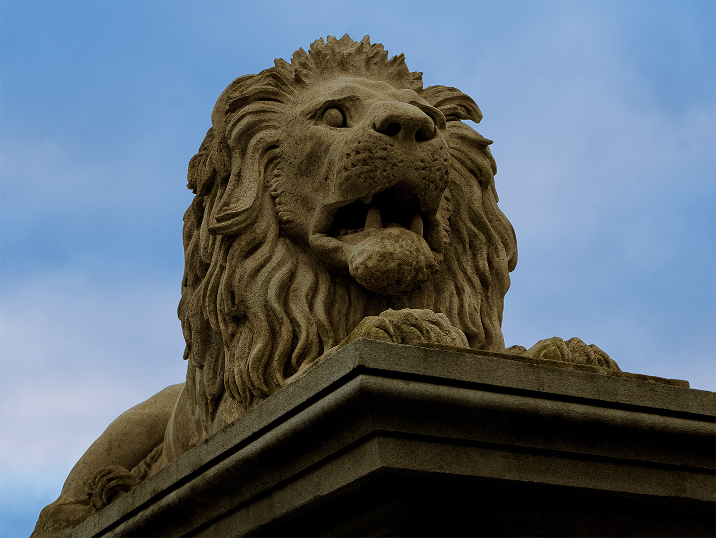 Lion statue adorning the Széchenyi Bridge in Budapest, Hungary