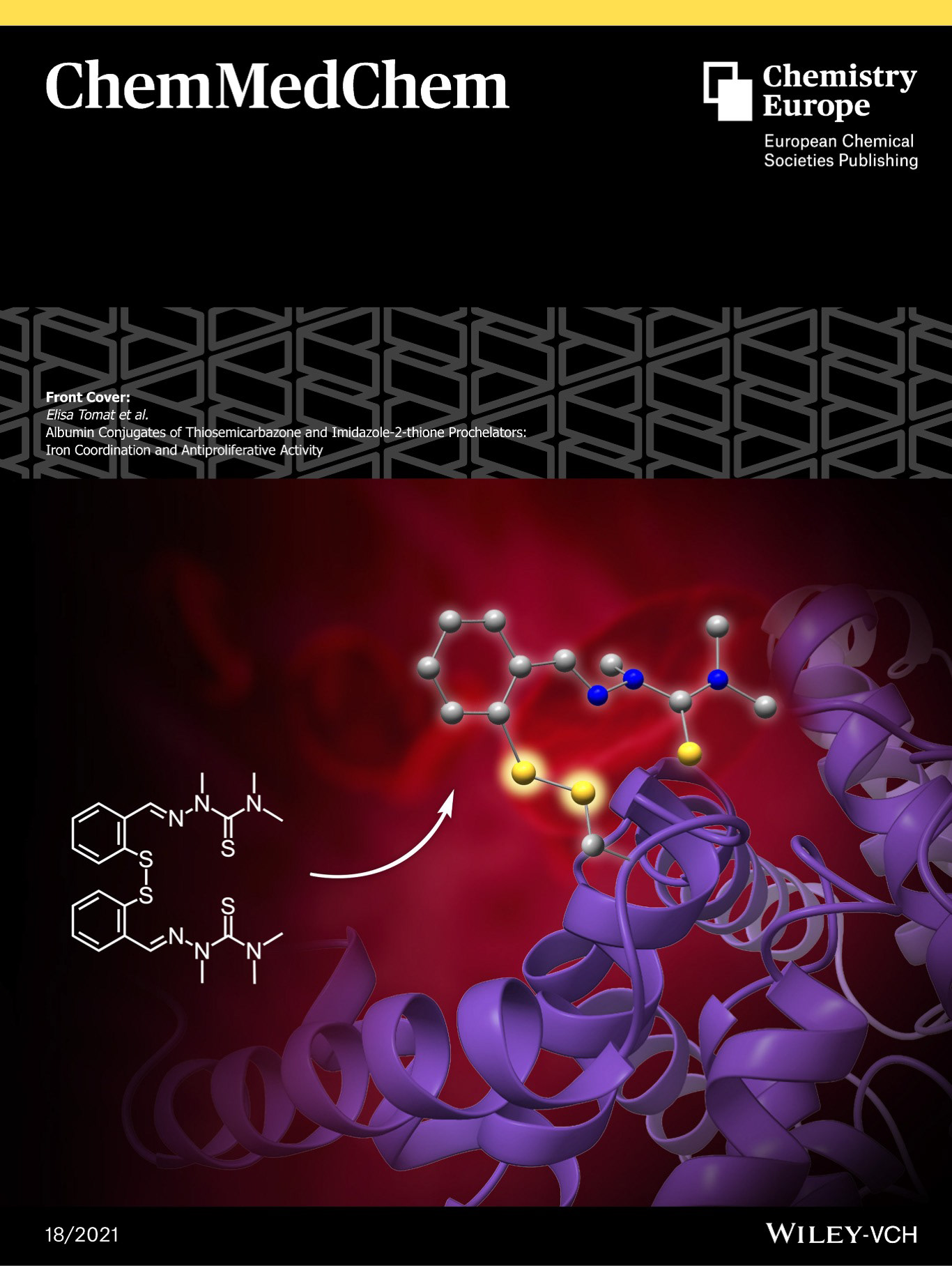 A thiosemicarbazone conjugated to albumin via a disulfide bond