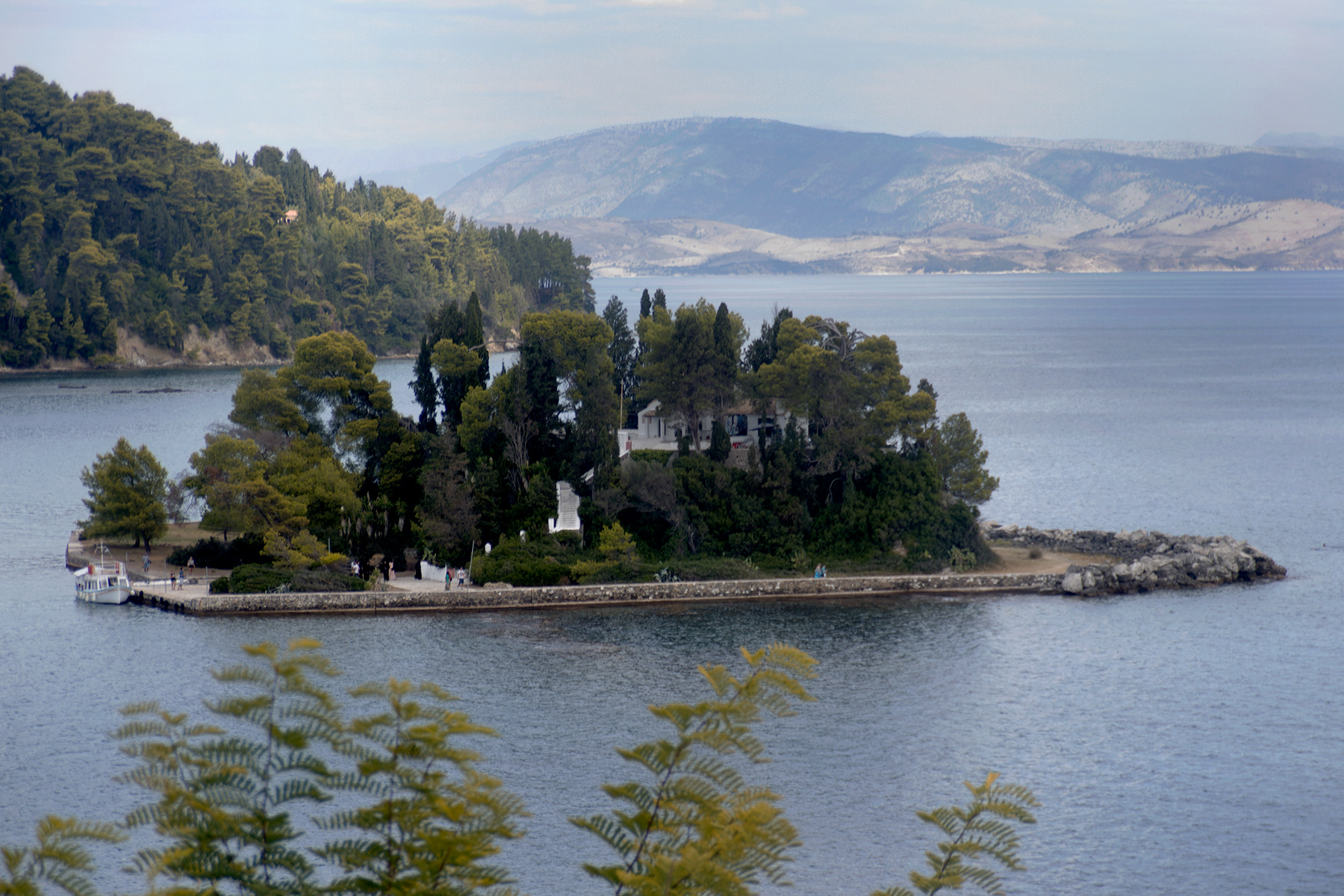 Mouse Island