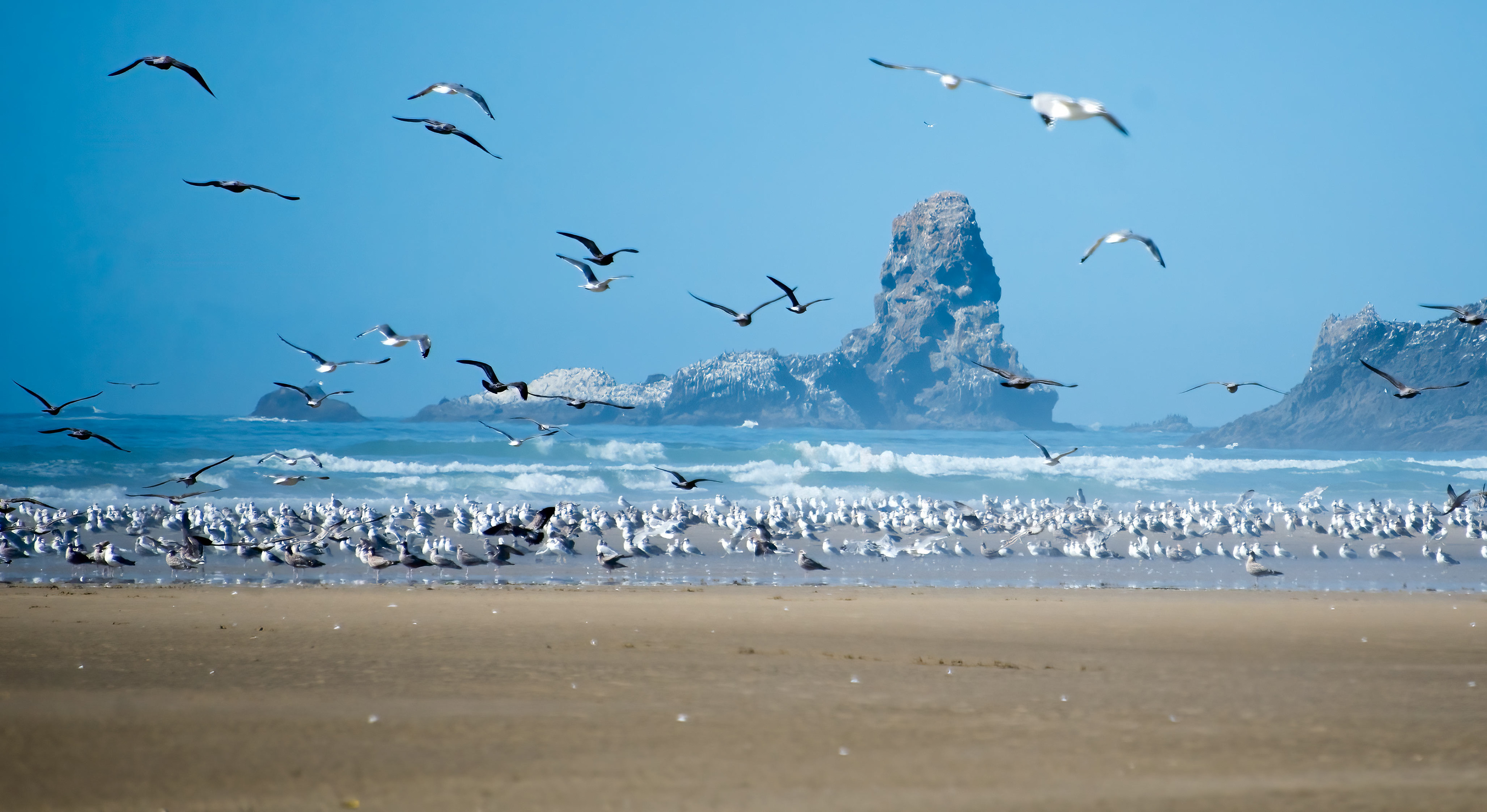 Oregon Coastline