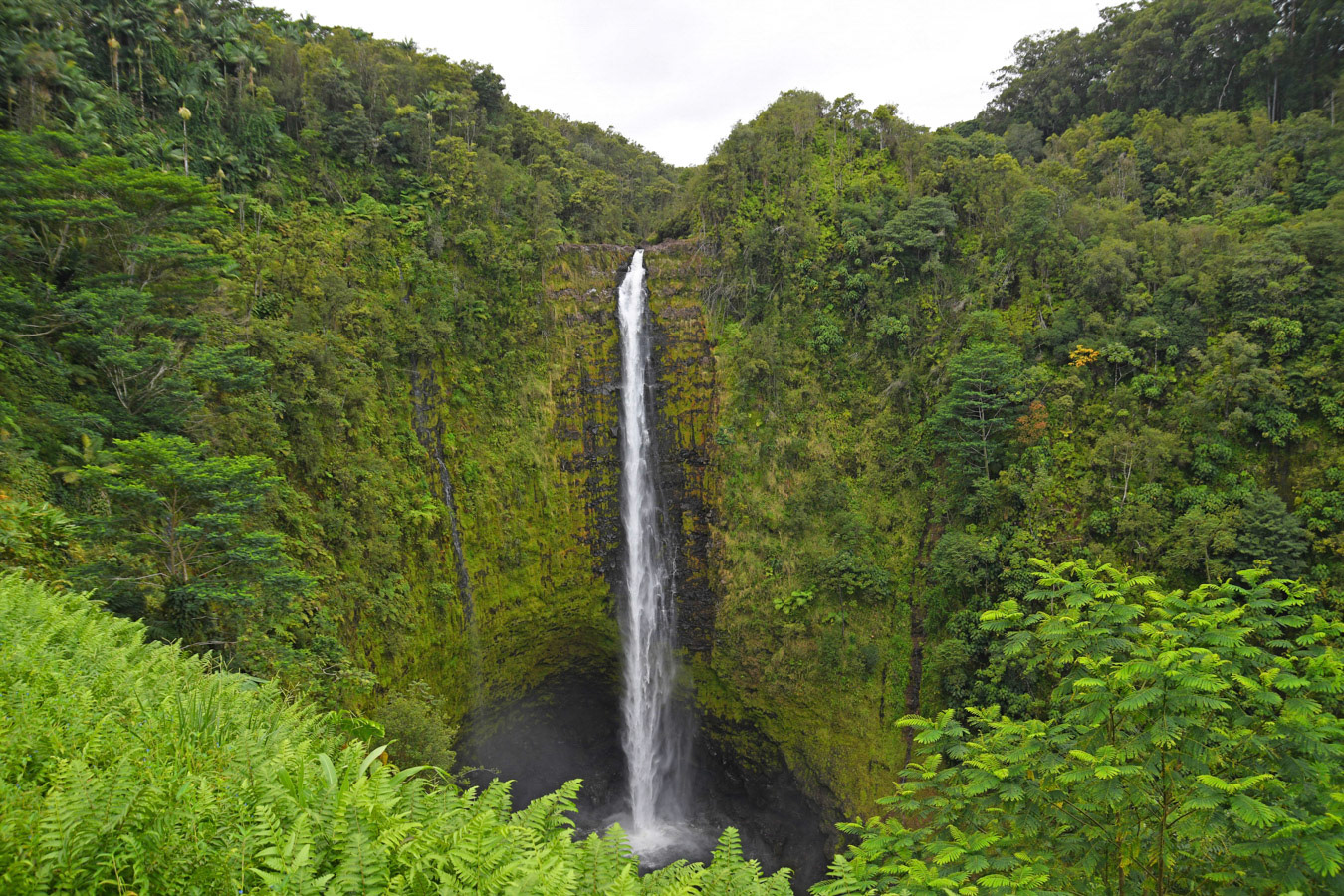 Island of Hawaii