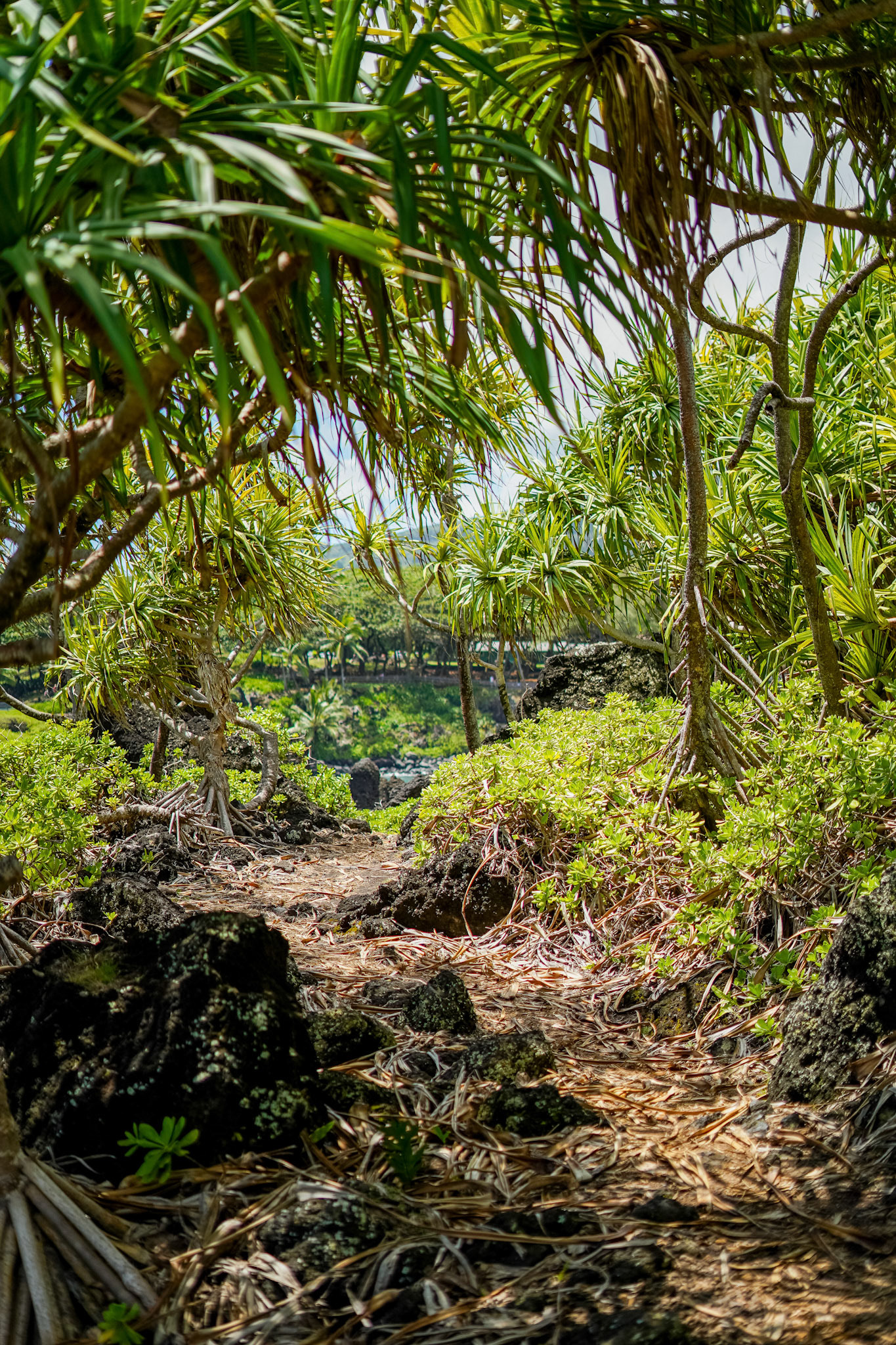 Maui