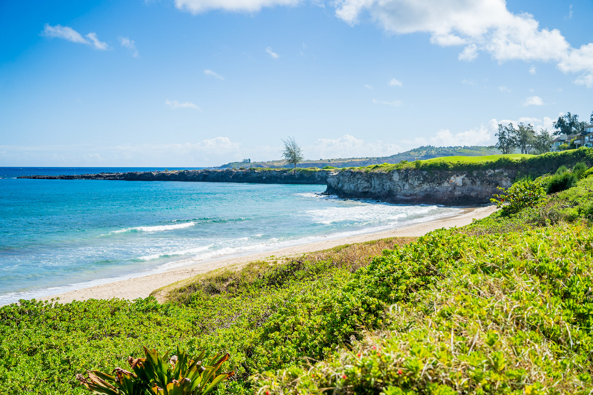 Maui