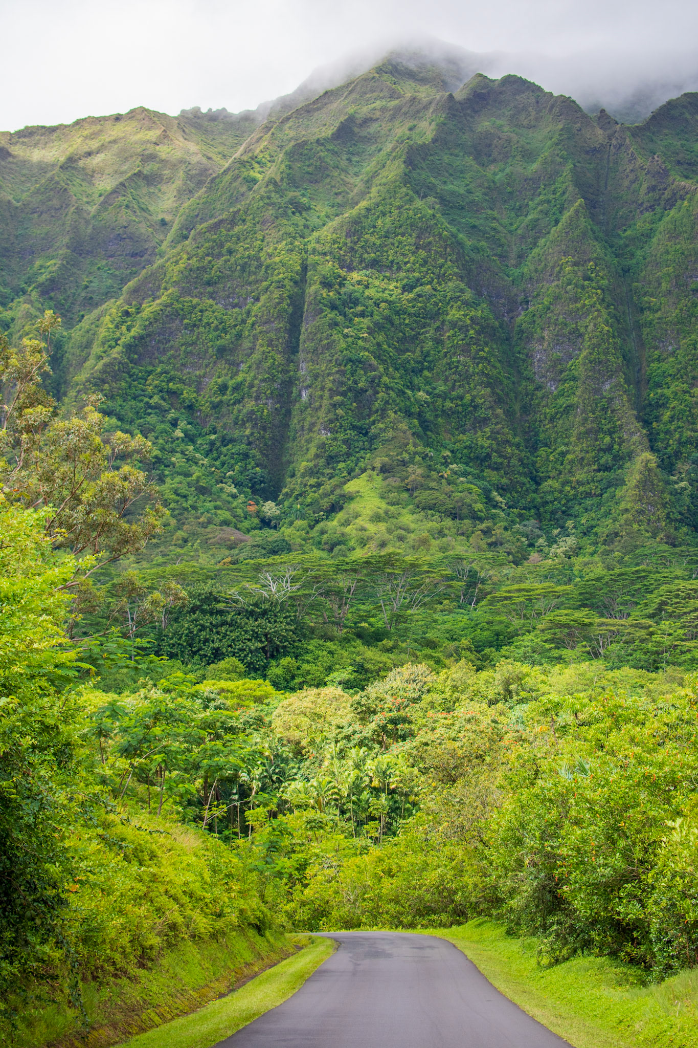 Oahu