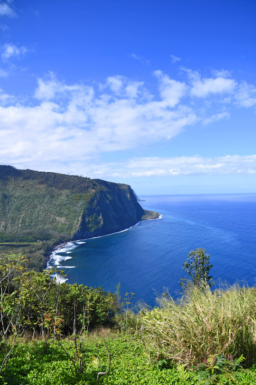 Island of Hawaii